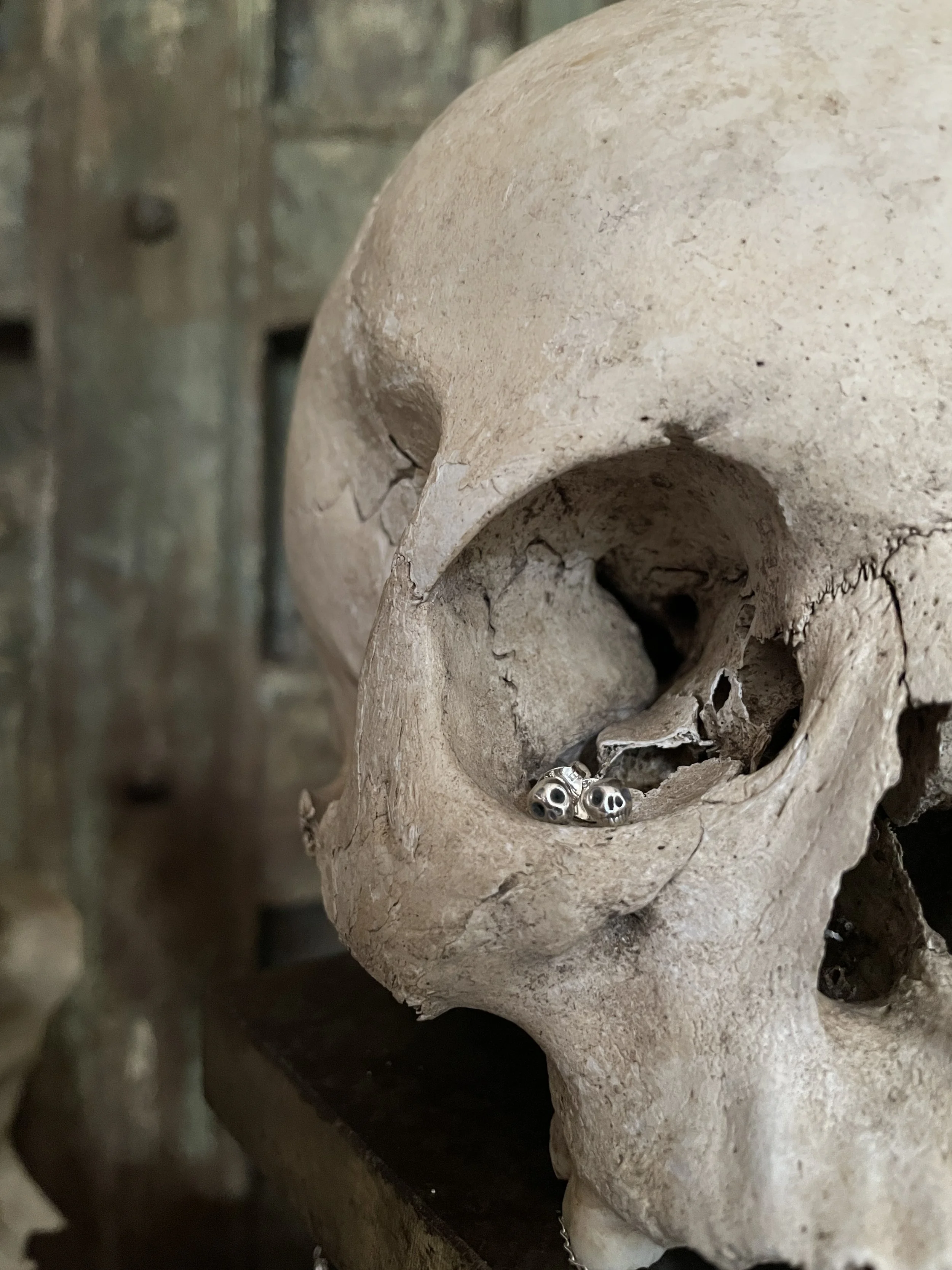 The Ossuary Comes Alive