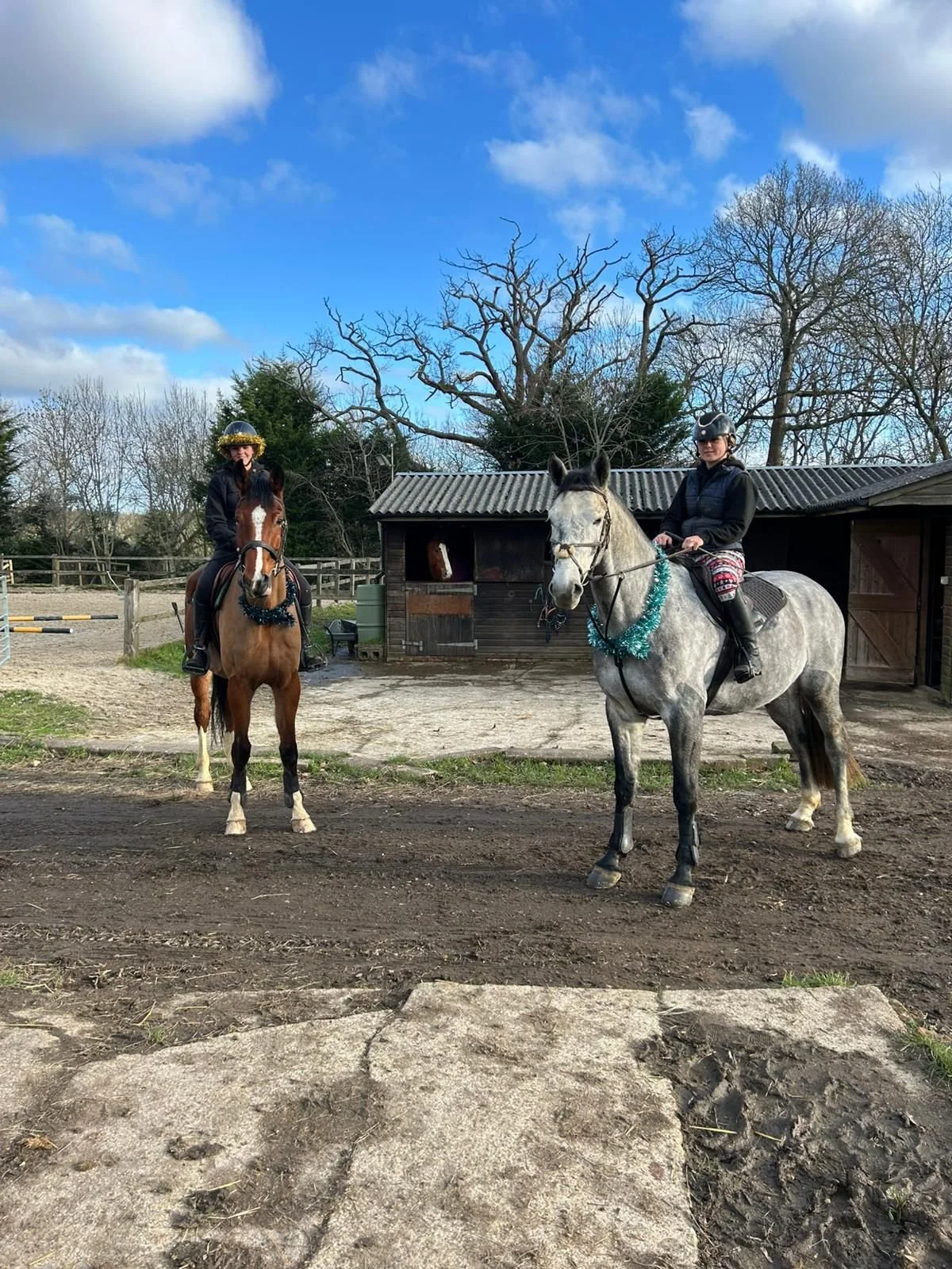 Christmas at Lincoln Stud