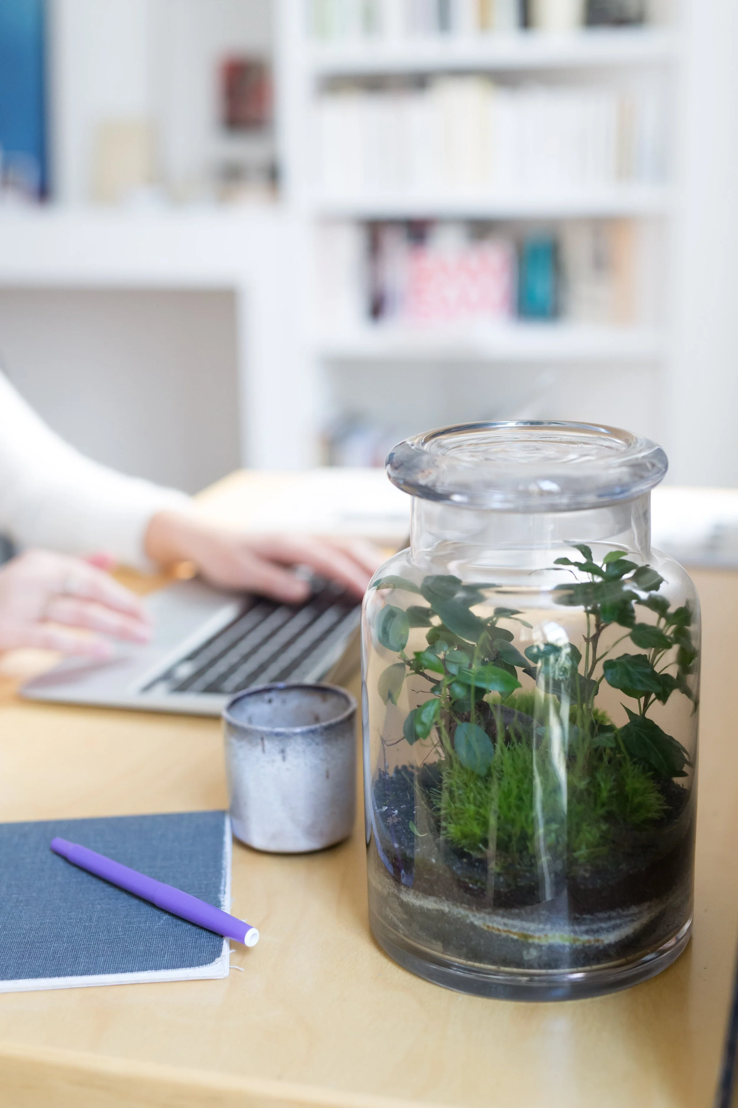 Bronwbook - Haydee Touitou 03.jpg