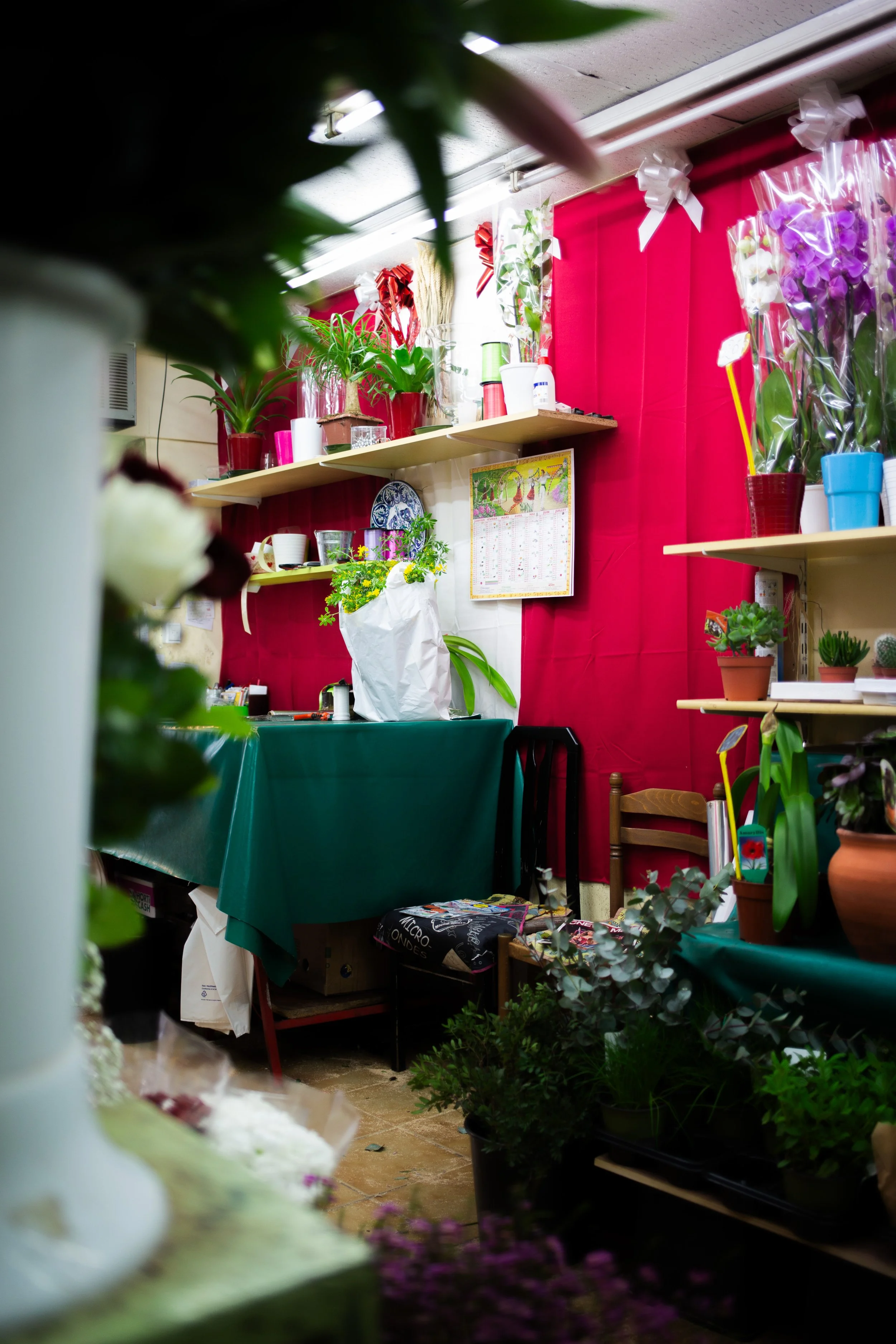 004 CO - 01 - Brownbook Tunisiens All -5G3A5928 - Marwen FARHAT.jpg