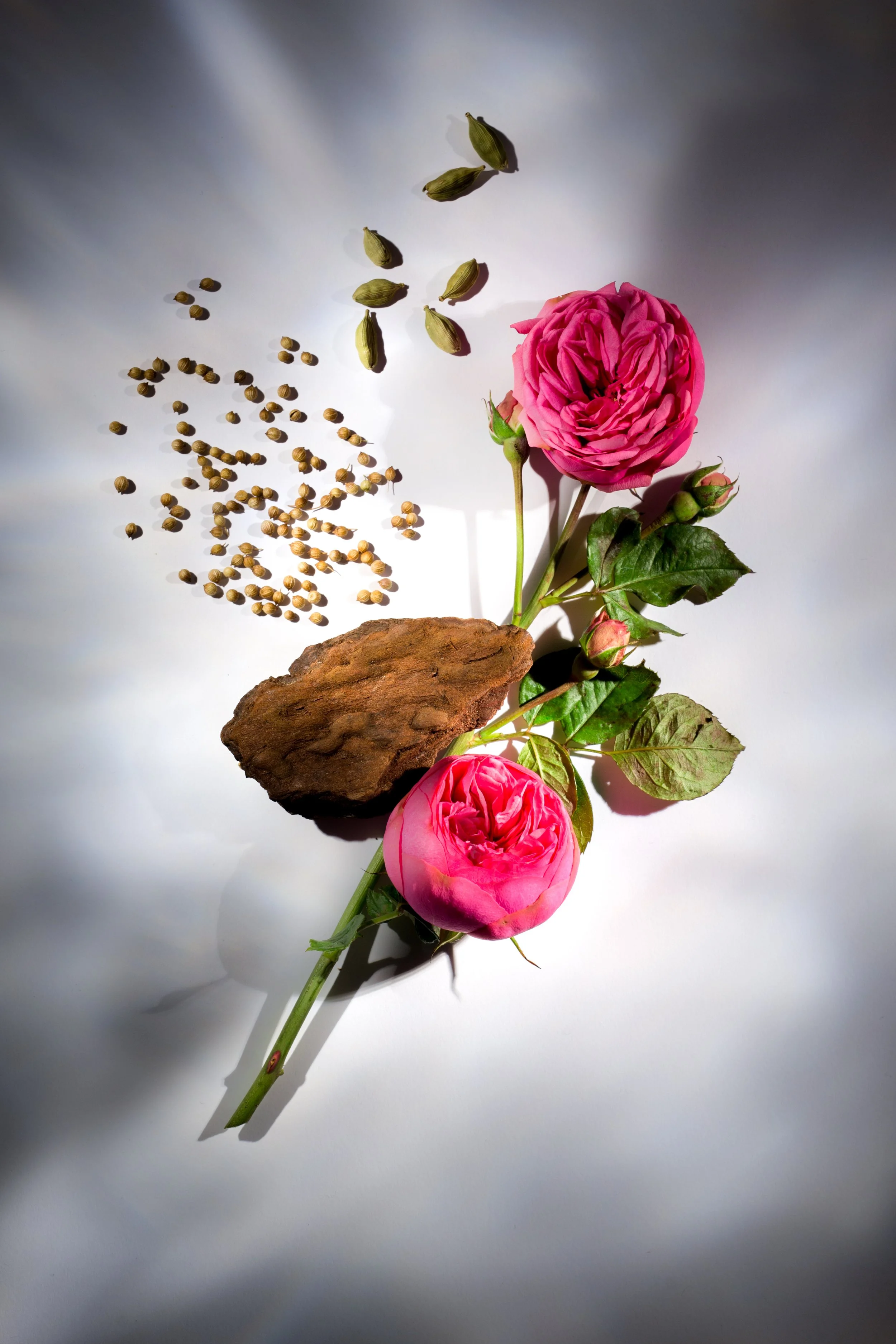 AG - Rose Oud VF.jpg