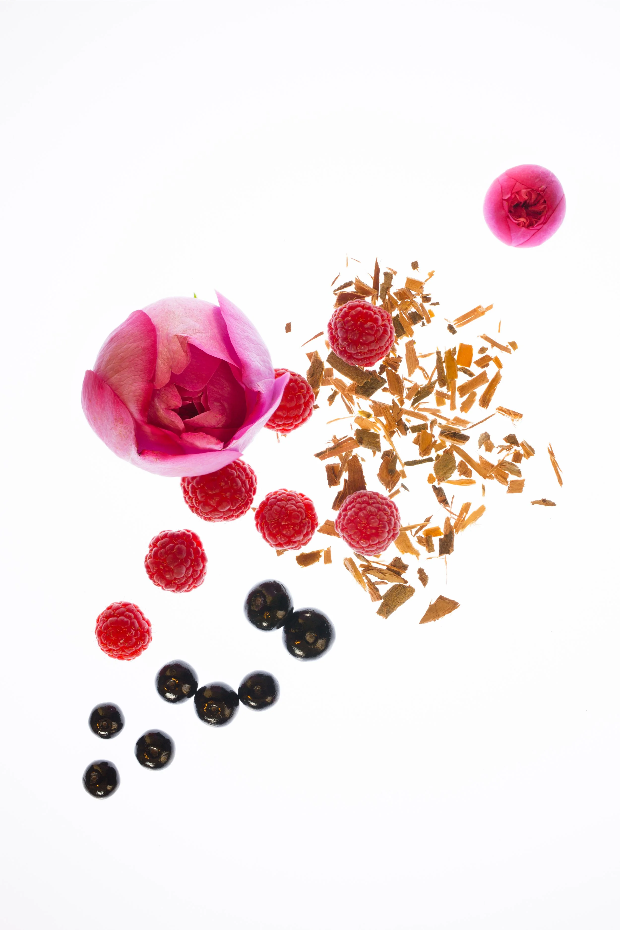 AG - Rose Pompon VF.jpg