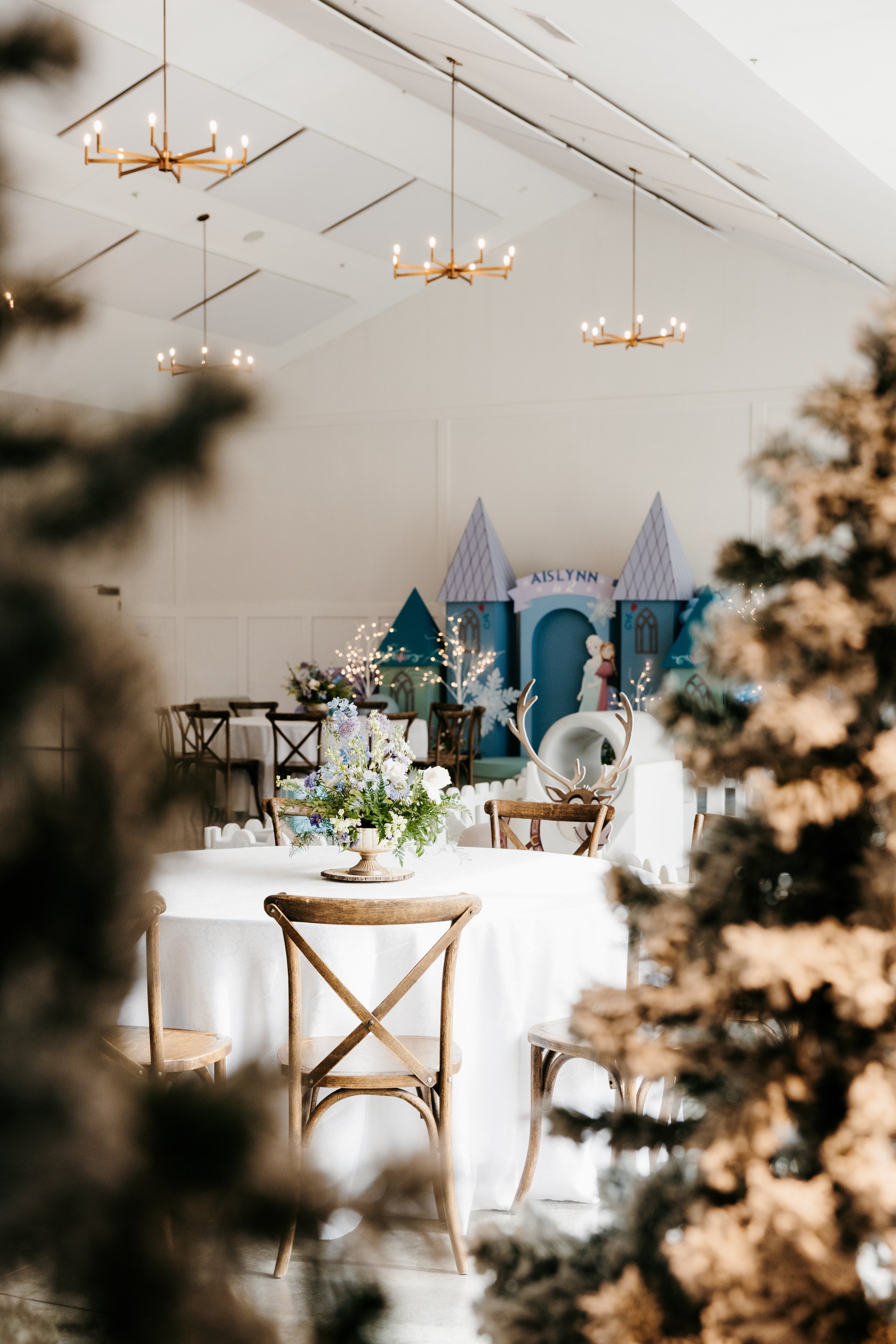 PCE_Aislynn Frozen Party_KassieLeighPhotography-108.jpg