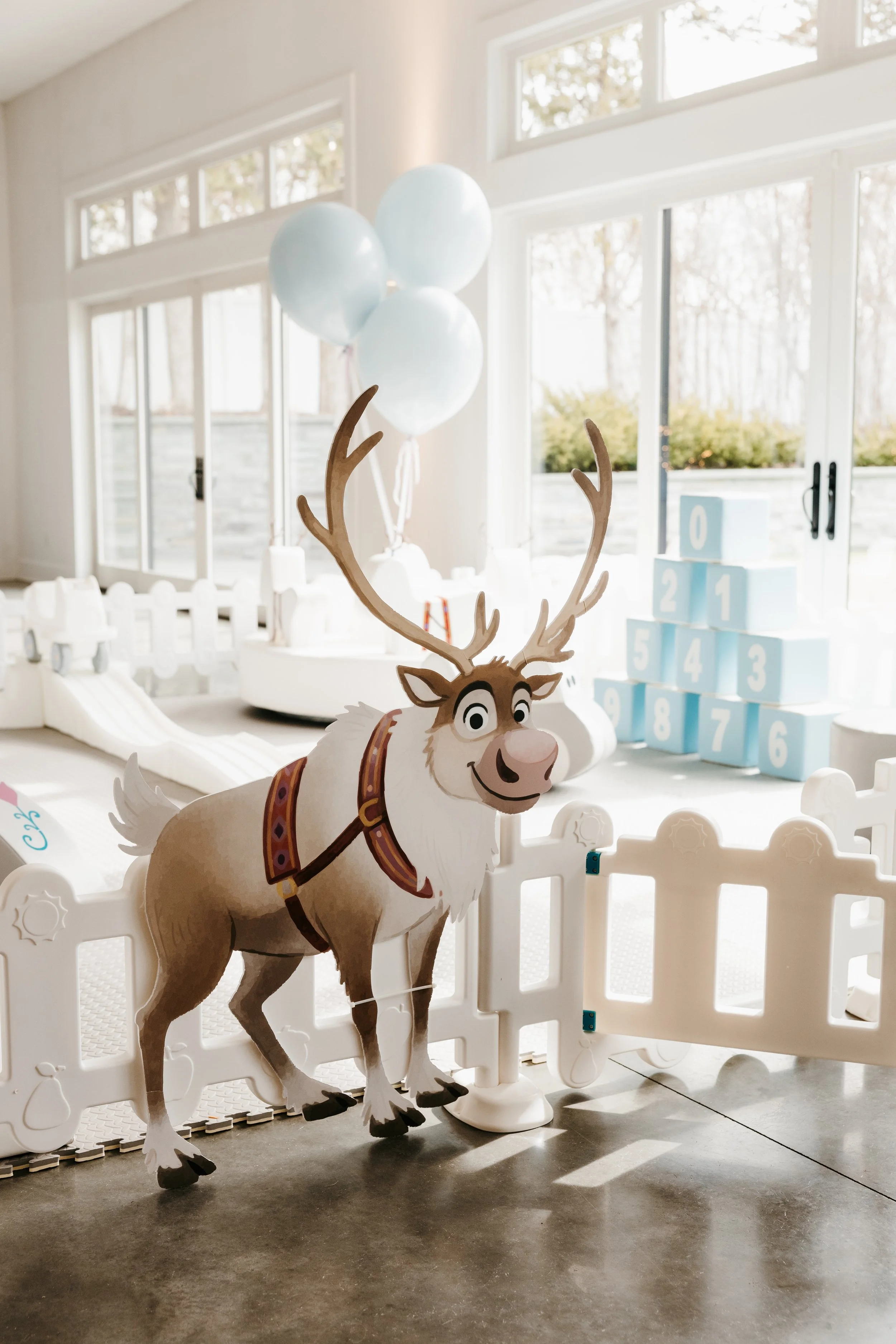 PCE_Aislynn Frozen Party_KassieLeighPhotography-100.jpg