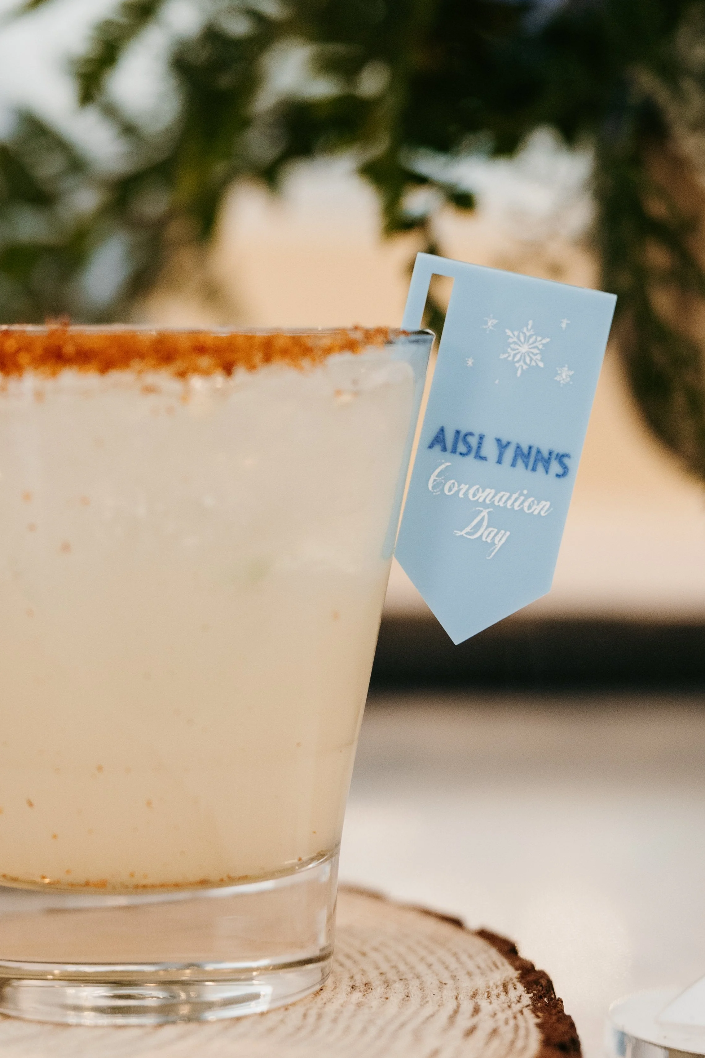 PCE_Aislynn Frozen Party_KassieLeighPhotography-133.jpg