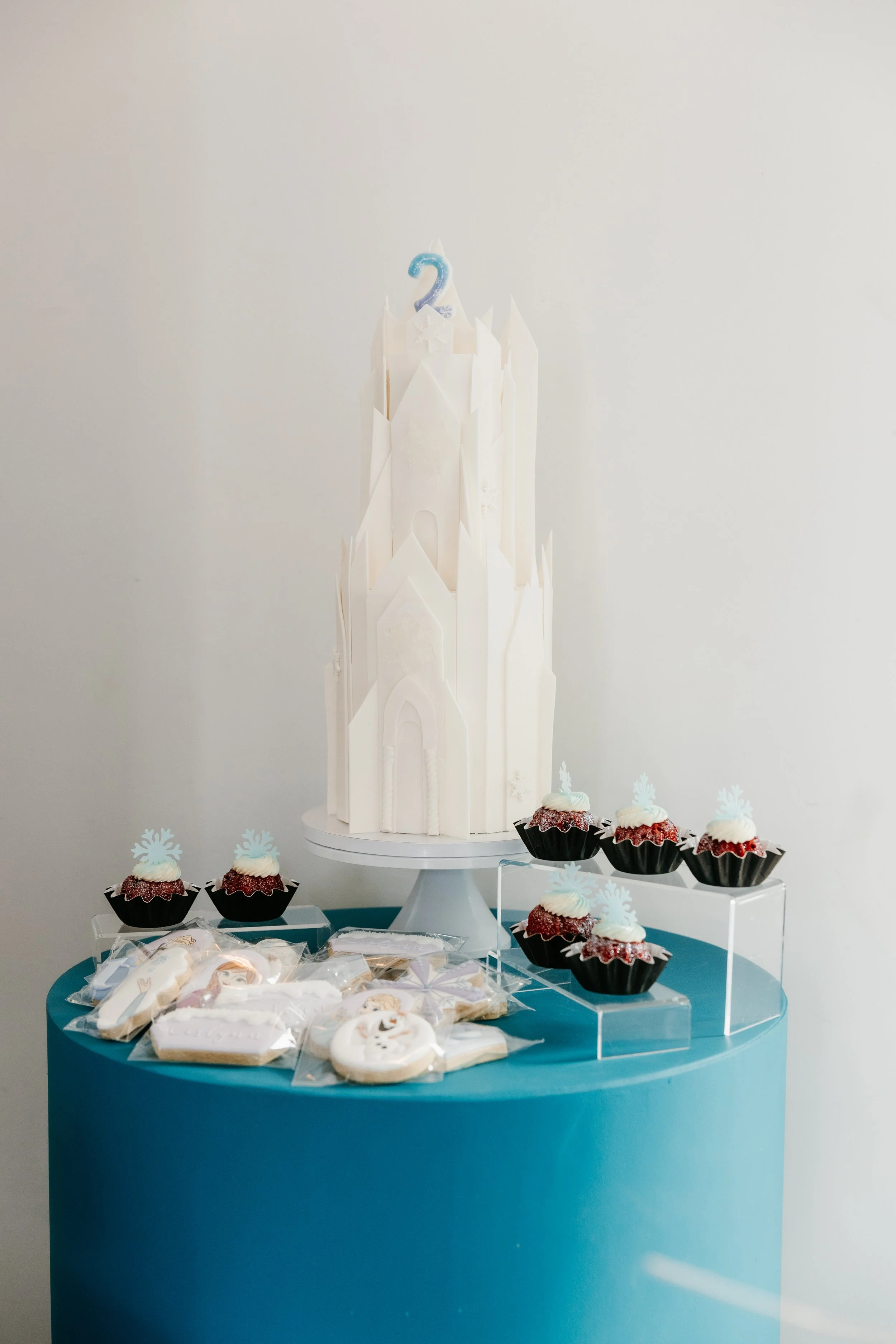 PCE_Aislynn Frozen Party_KassieLeighPhotography-160.jpg