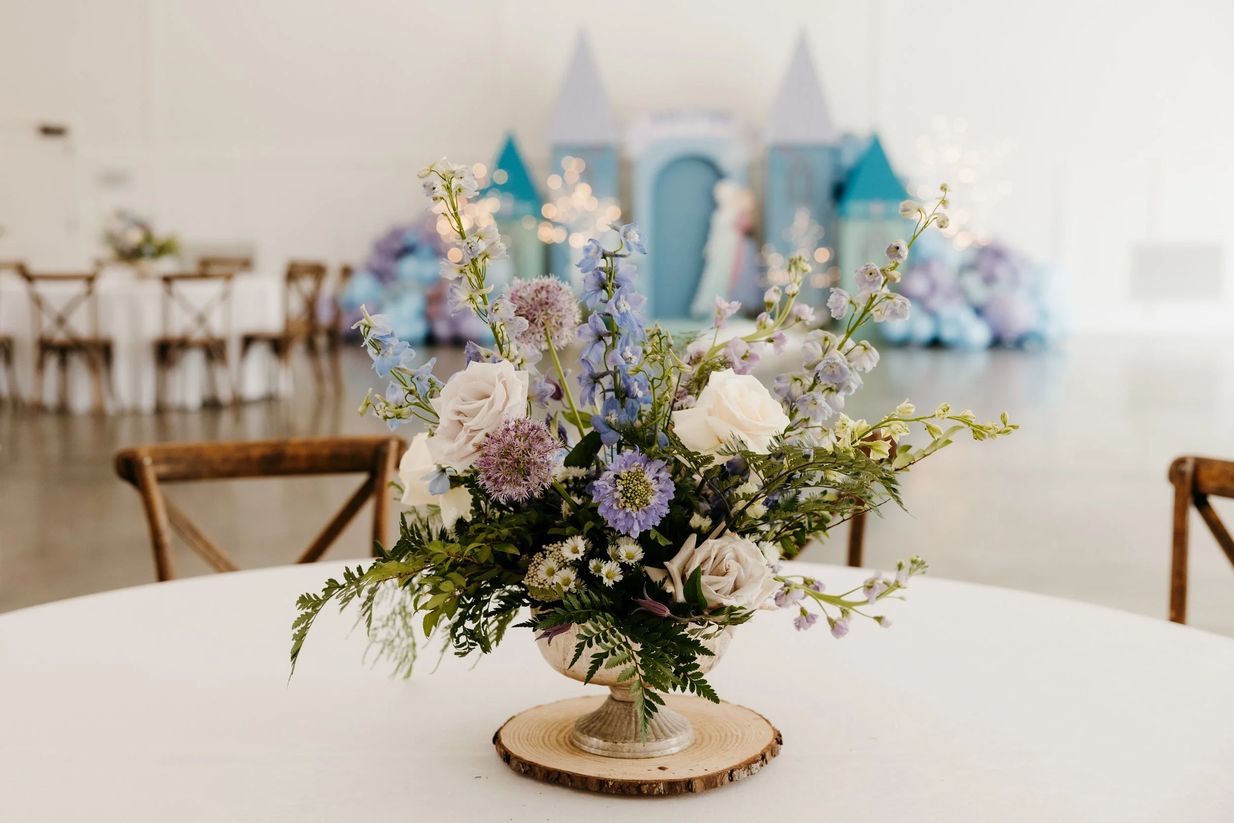 PCE_Aislynn Frozen Party_KassieLeighPhotography-148.jpg
