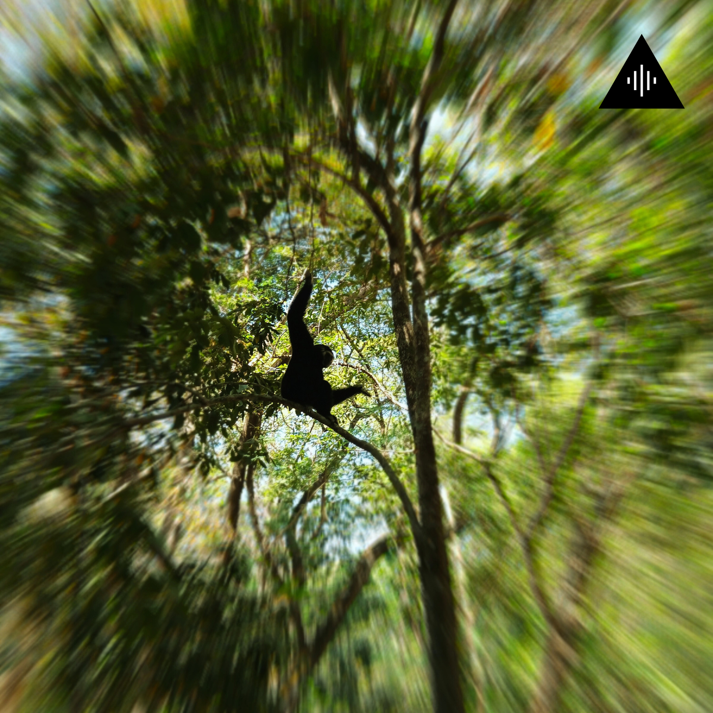 Silhouetted orangutan hanging from a tree branch in a lush jungle canopy.