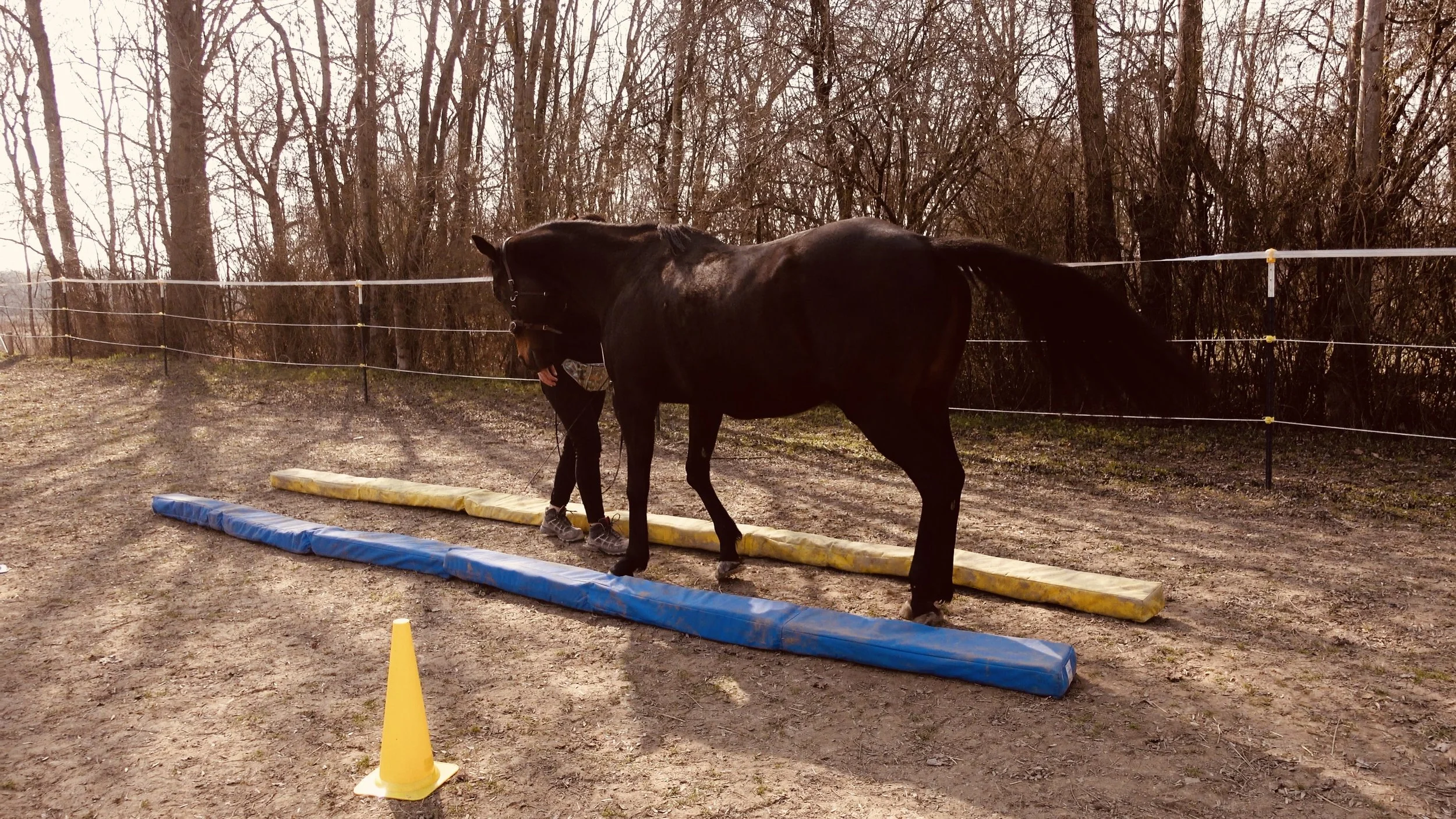 split training 02.jpg