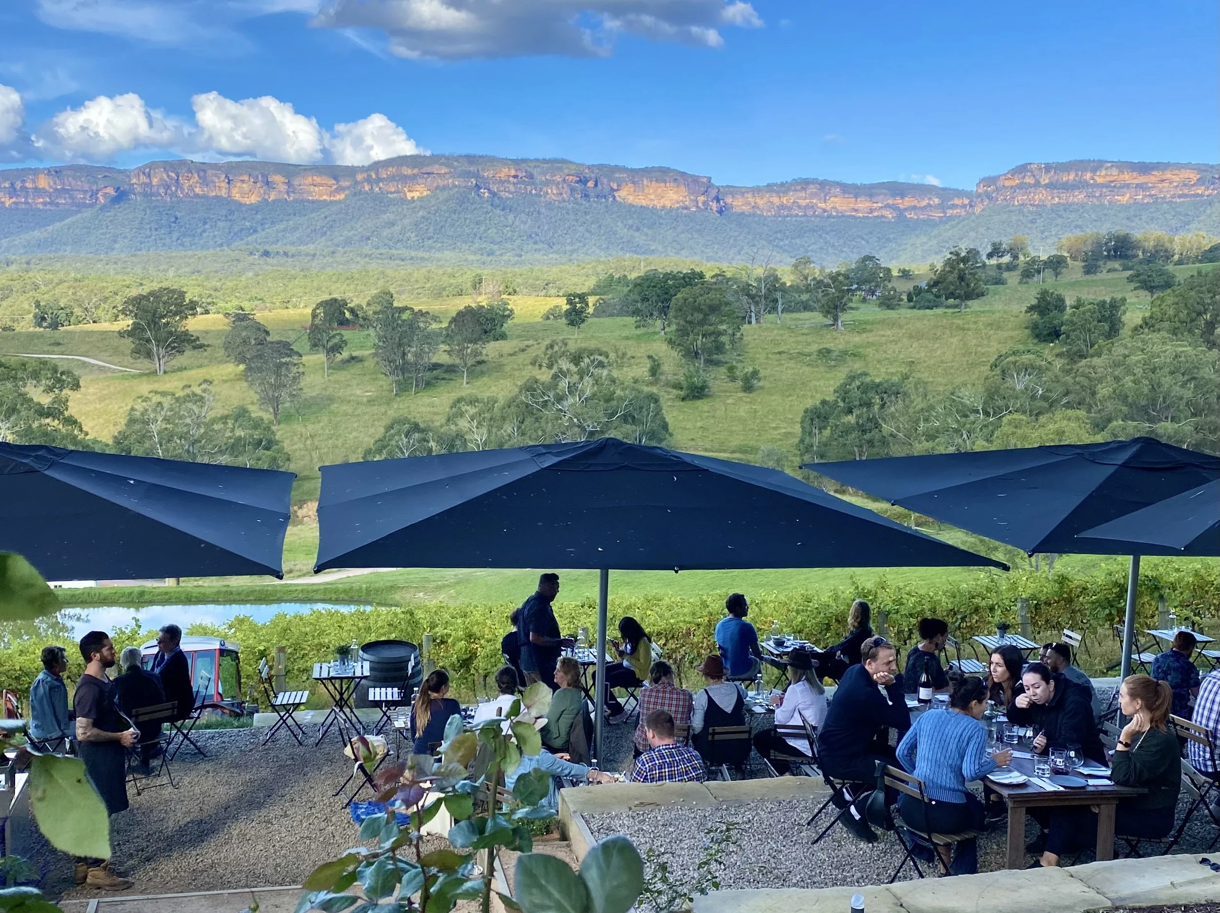 Outdoor dining with vineyard views
Guests sip wine and share native-inspired plates under wide umbrellas at the cellar door of Dryridge Estate, looking out to sweeping escarpment views. This quintessential Gourmet Food Tour Sydney moment captures why