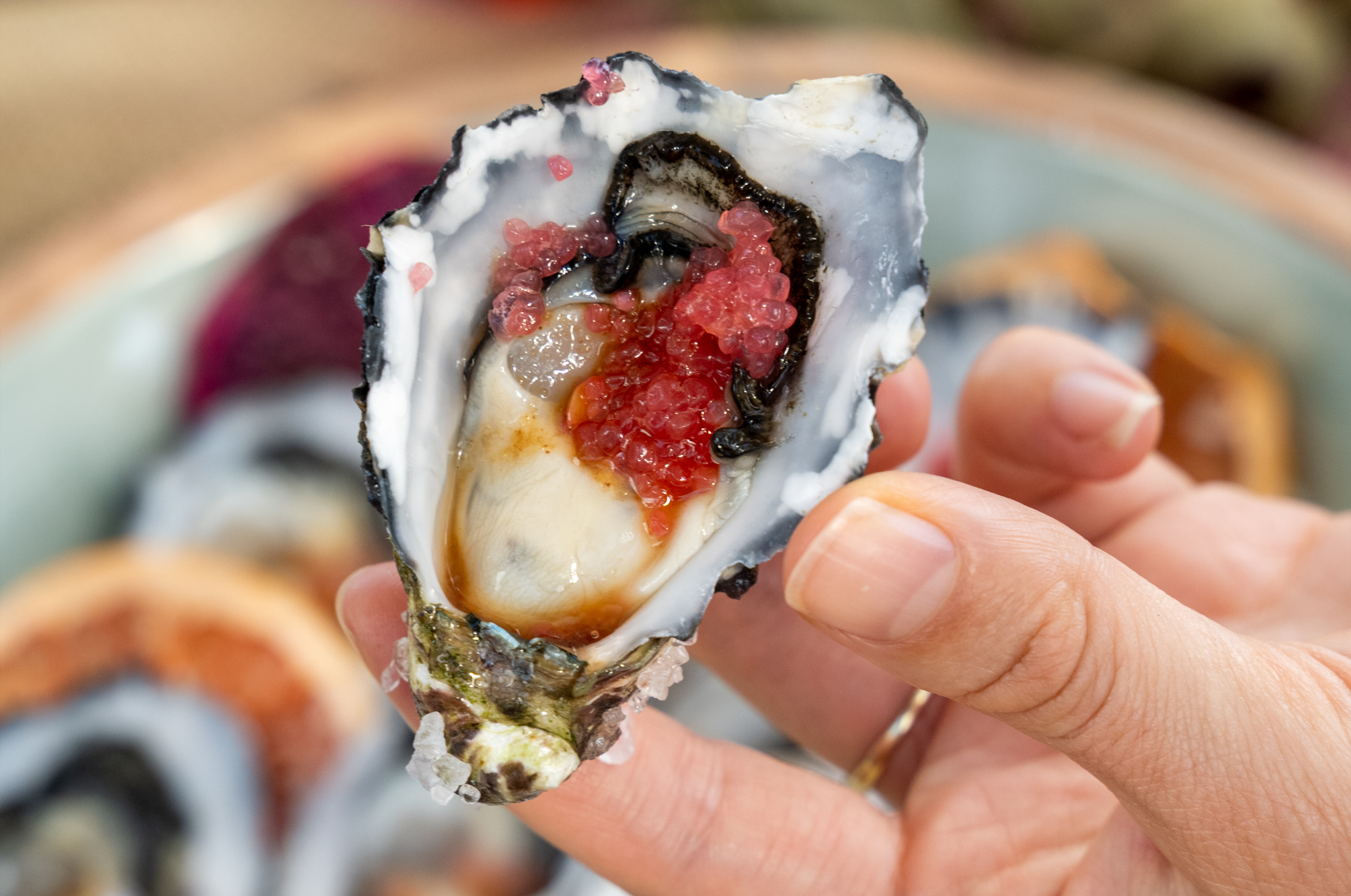 Why Finger Limes and Green Ants Belong on Your Bucket List