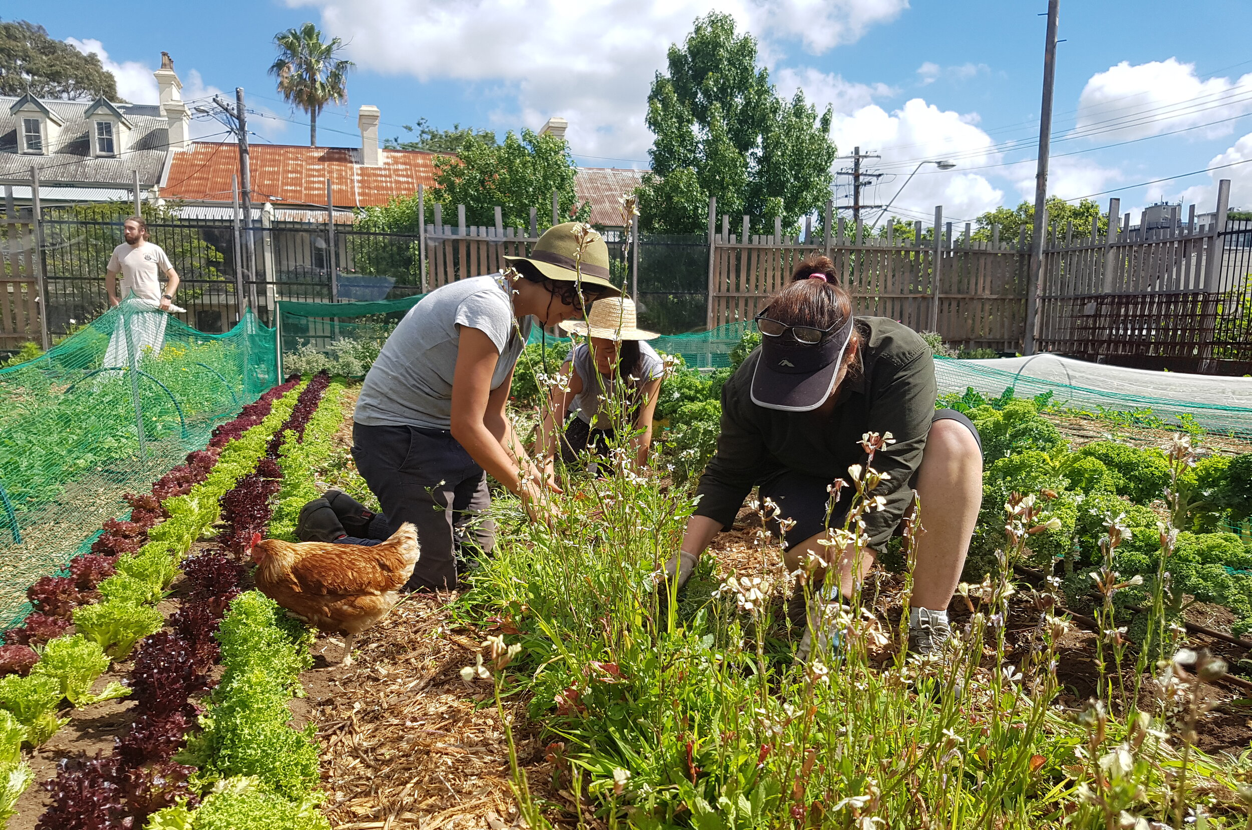 What We Talk About When We Talk About ‘Authentic Australian Food’