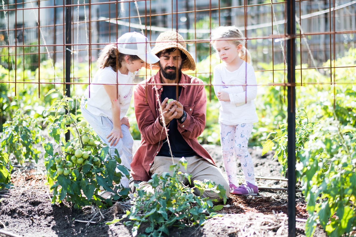 From Climate to Culture: Why Native Ingredients Might Just Save the Planet