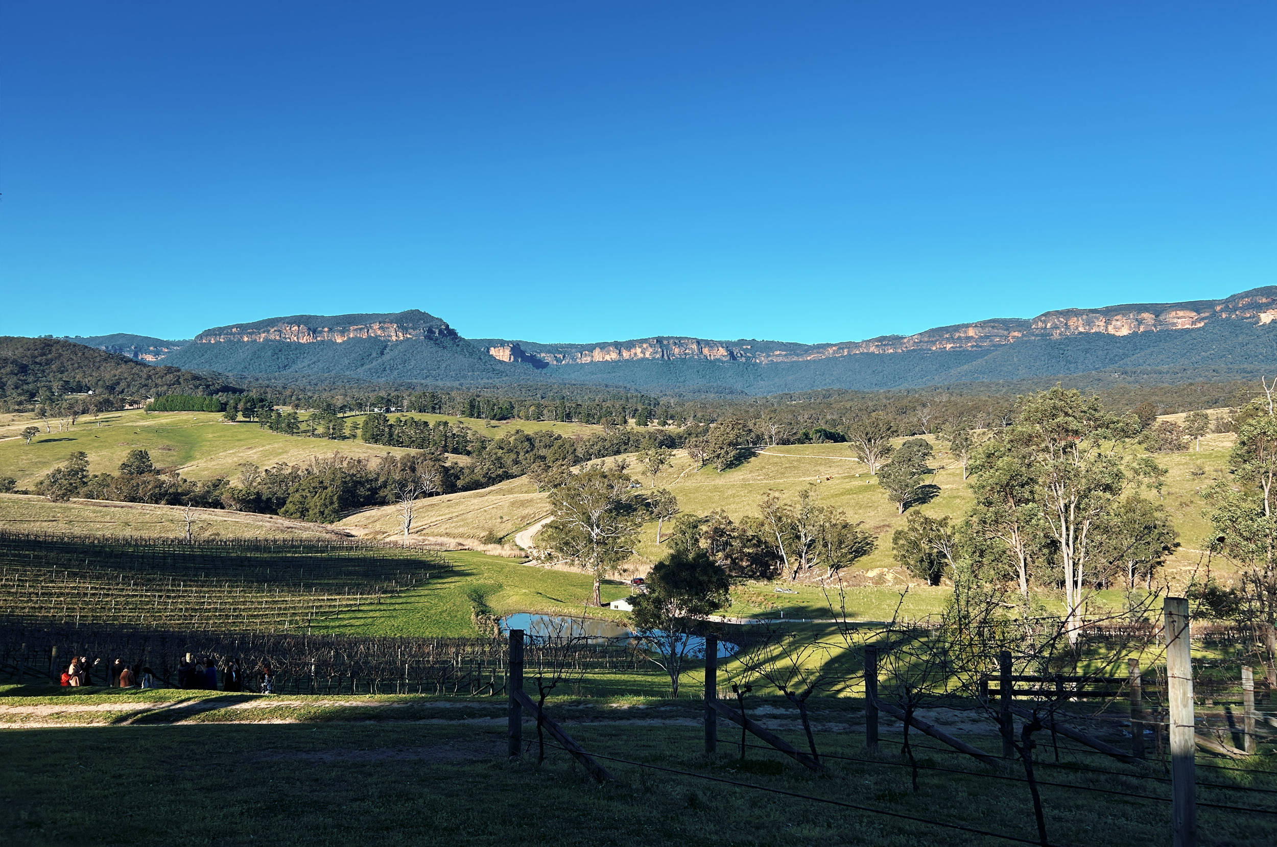 Why the Blue Mountains Taste Different After You Learn About Native Food