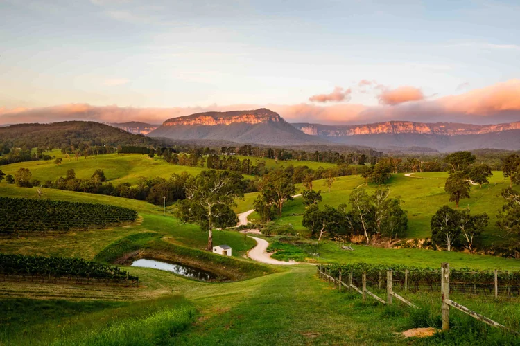 Scenic Blue Mountains landscape with rolling vineyards and countryside featured on a Sydney food and wine tour experience.