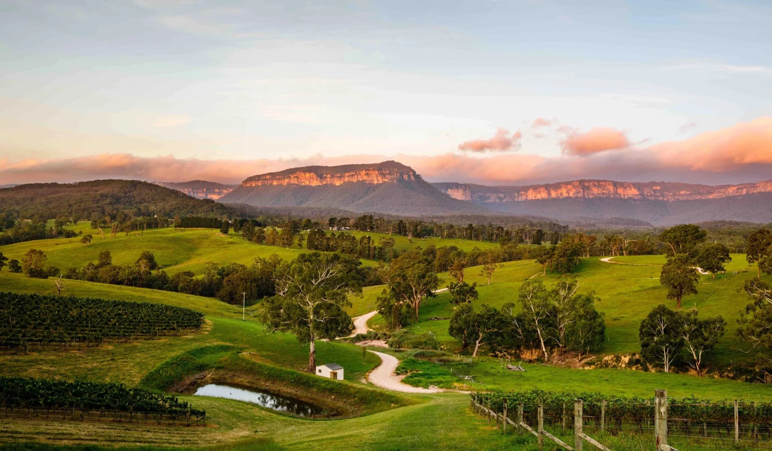 Blue Mountains Vineyard Landscape
Description: A breathtaking view of Dryridge Estate vineyard in the Blue Mountains, part of The Australian Food Guy paddock to plate tour. Guests enjoy wine tastings, native produce and a full day food safari in one