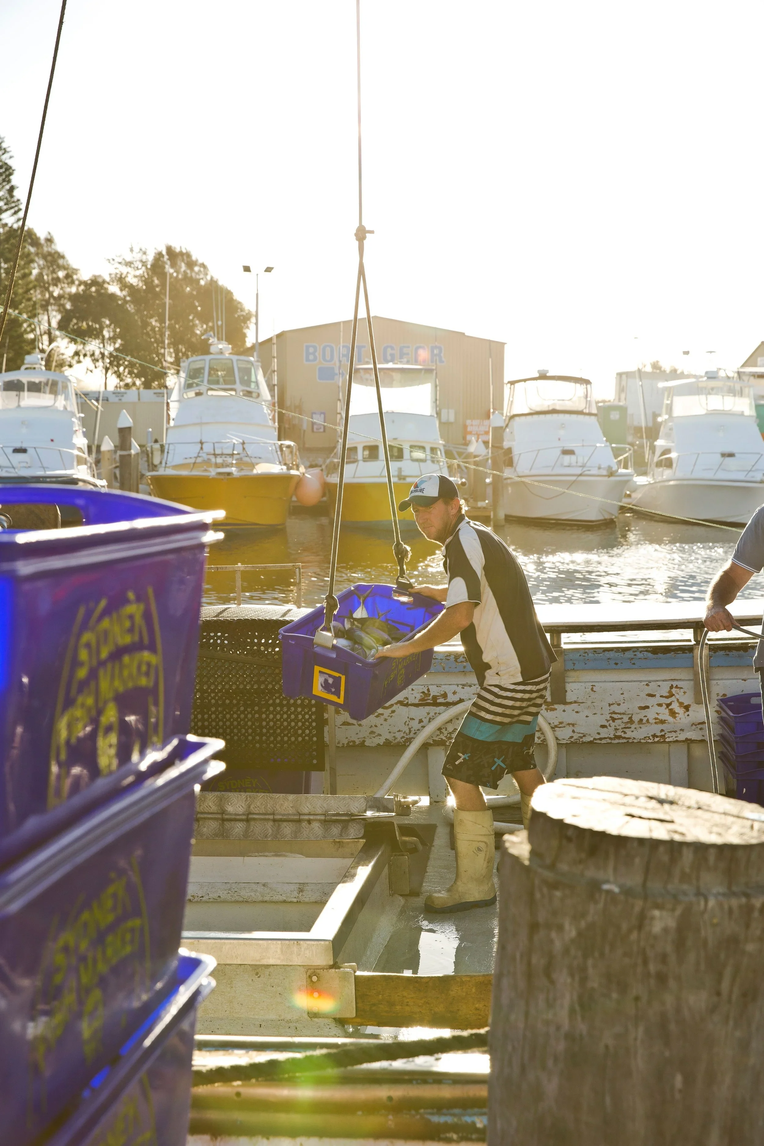 Fresh seafood being unloaded at Sydney Fish Market during a premium Sydney food tour with The Australian Food Guy