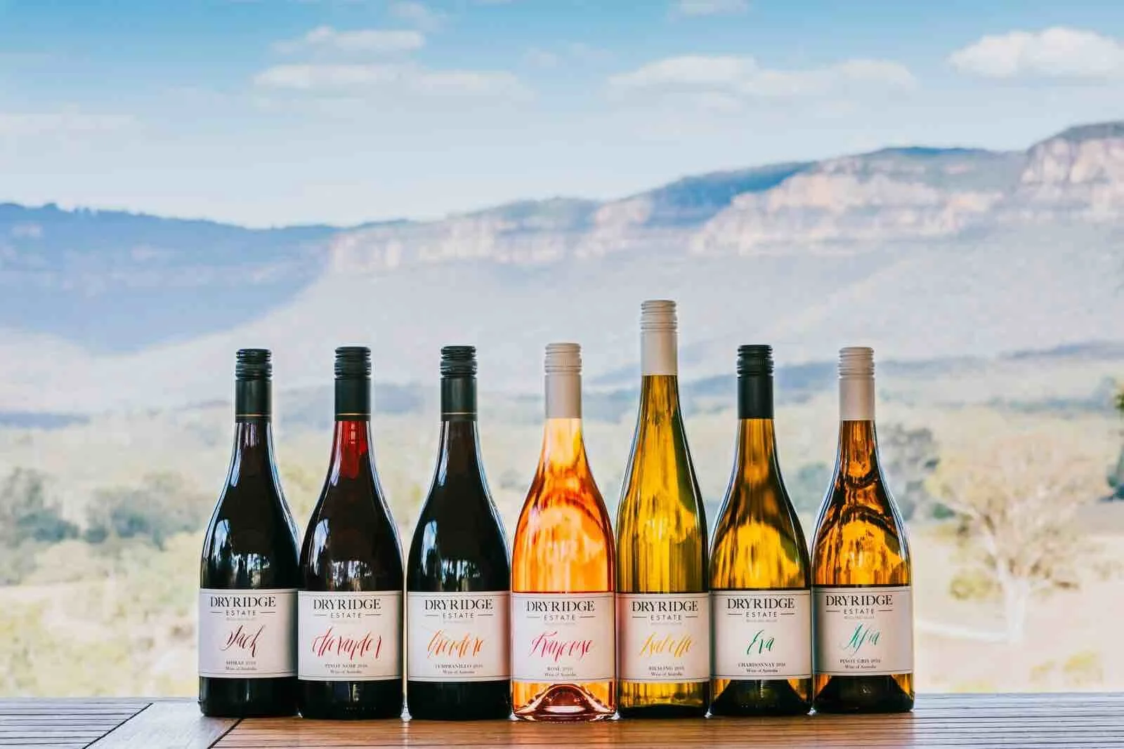 Wine tasting at Dryridge Estate
A colourful line-up of seven bottles from Dryridge Estate sits against the backdrop of the Blue Mountains escarpment. Guests on a Gourmet Food Tour Sydney or Sydney food tour can sample Chardonnay, Shiraz, Rosé, and ot