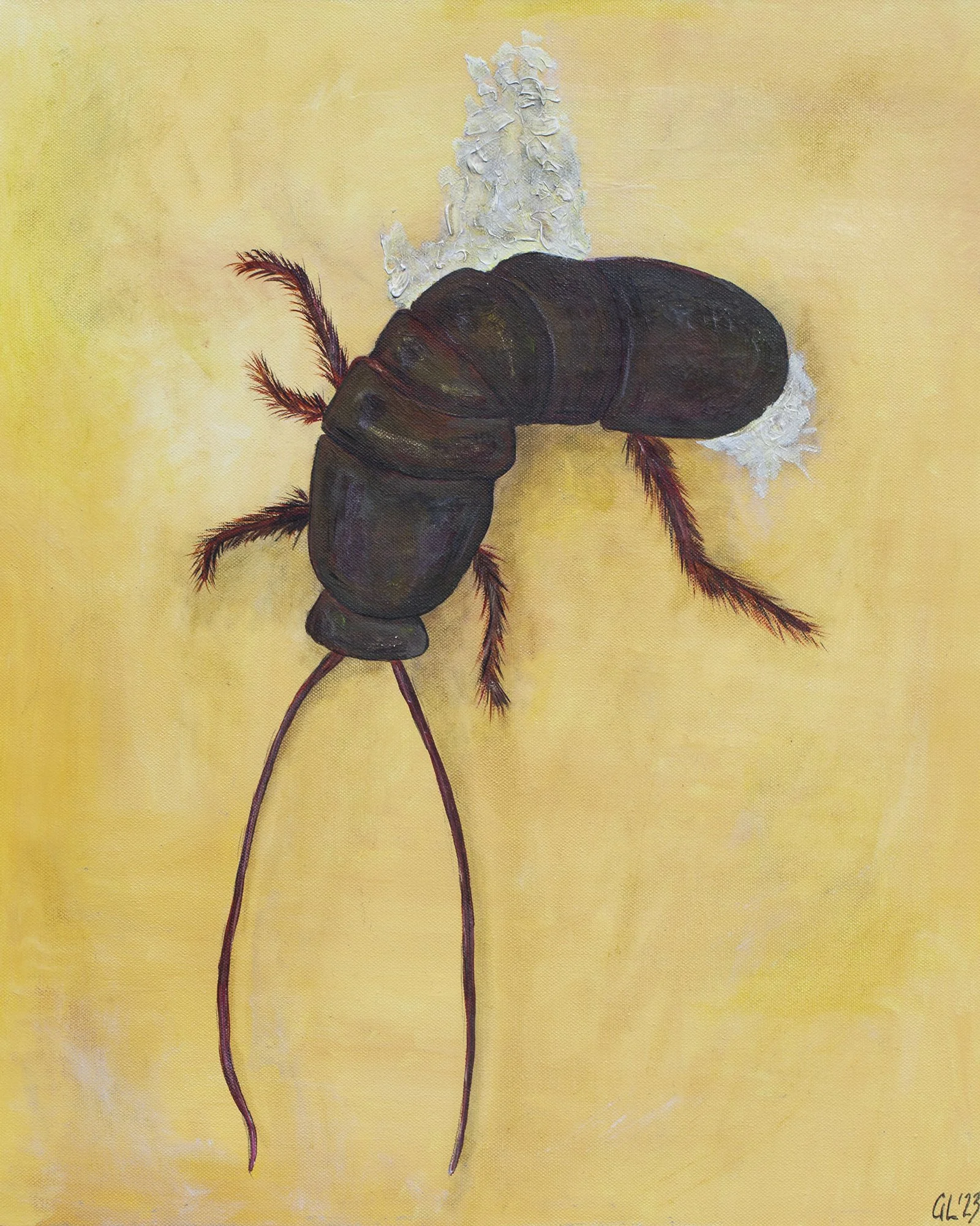 2 Dead Cockroach - 8x10.jpg