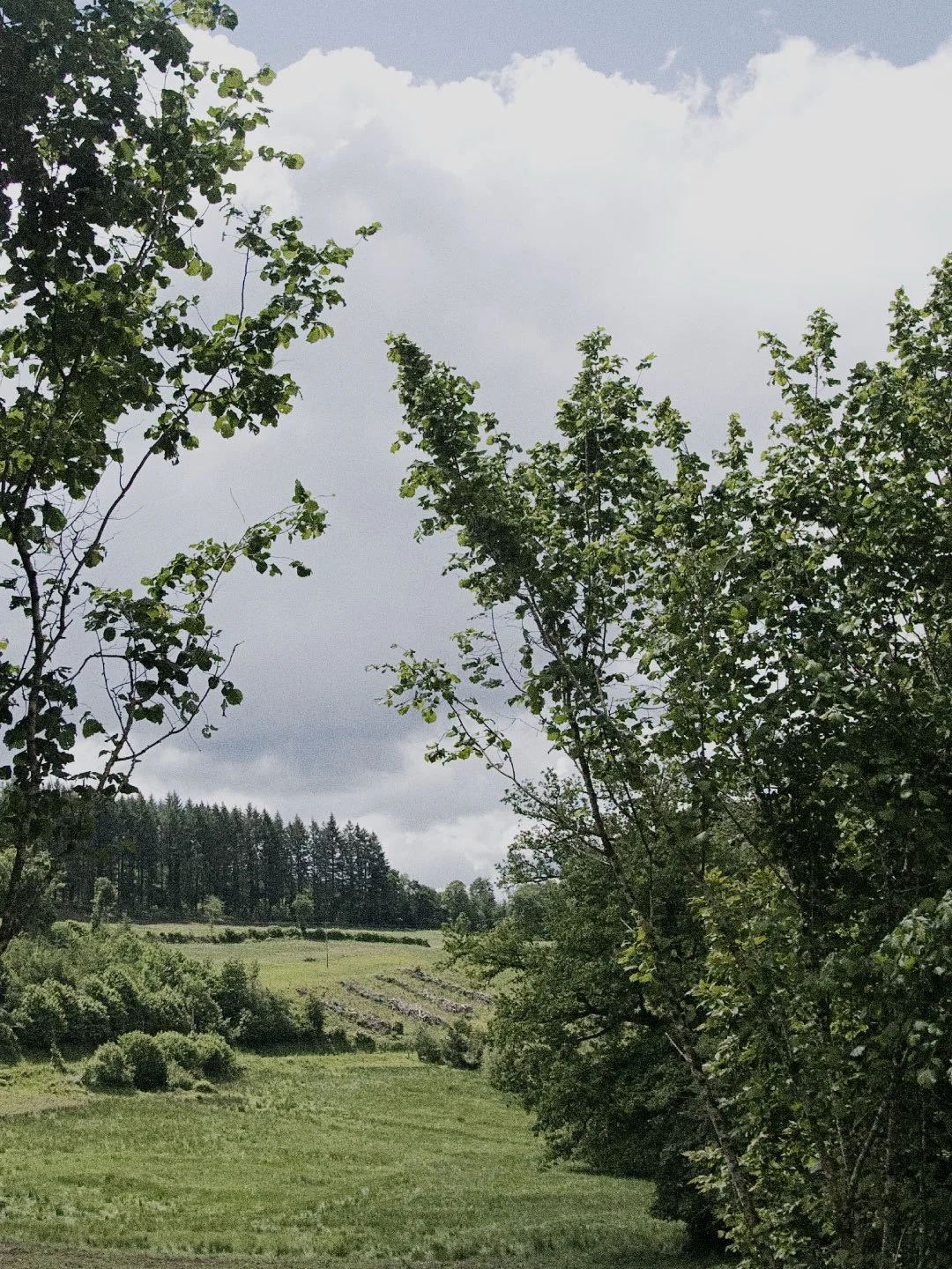 Last weekend, I took some rest and inspiration at my cottage.
Slow days with my family, enjoying fresh air, some hiking and dinner by the fireplace : the kind of stillness you don&rsquo;t realise you need until you finally have it. I wanted to take s