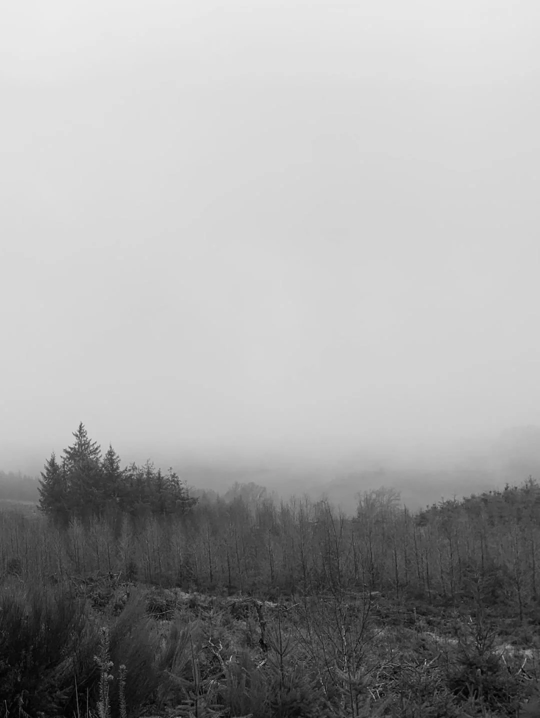 Little winter throwback on my beautiful surroundings before summer arrives and the temperatures become too hot.