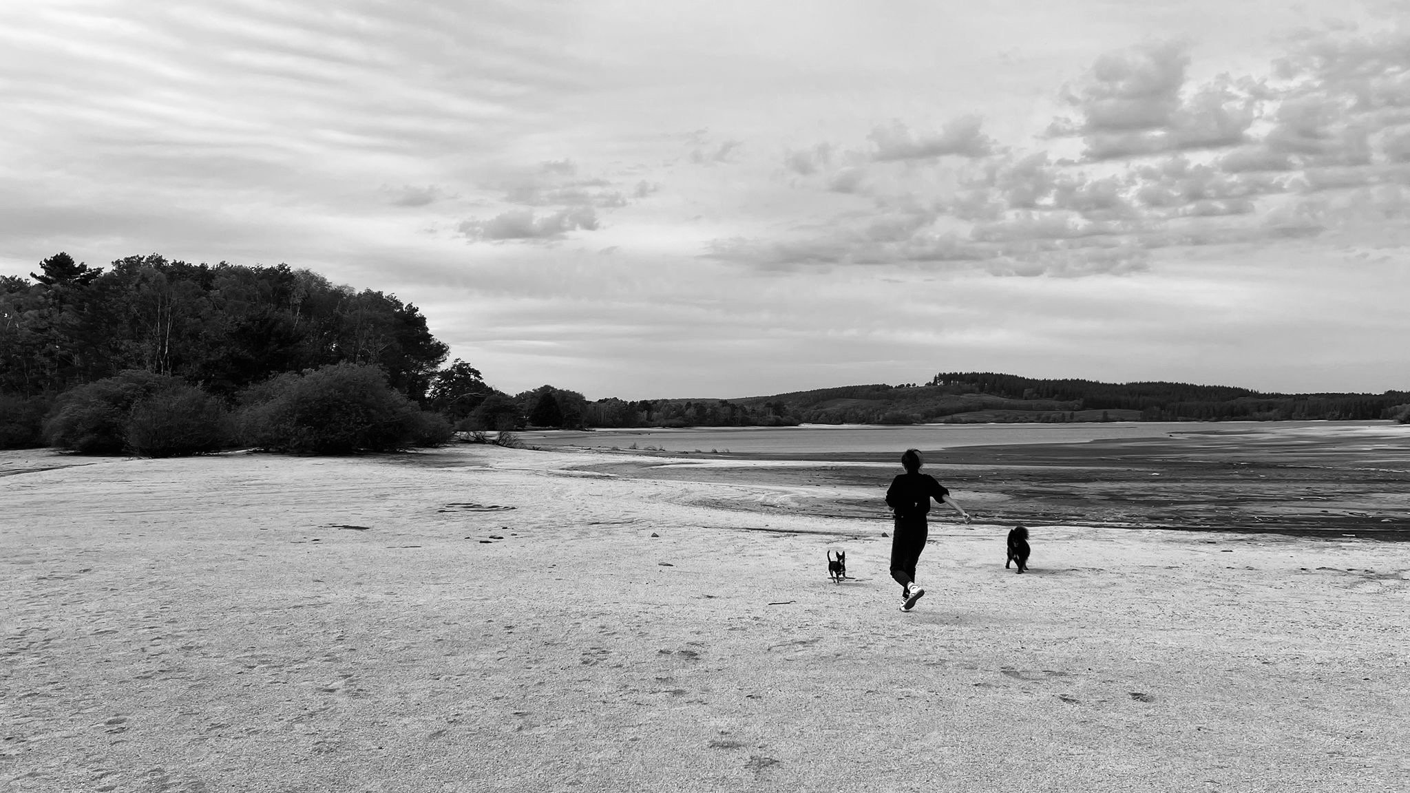 A person running on a sandy beach with two dogs, with trees and hills in the background under a cloudy sky.