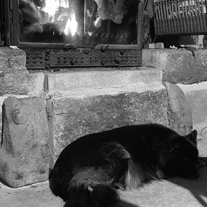 A black dog lying on the concrete floor in front of a fireplace with a fire burning inside.