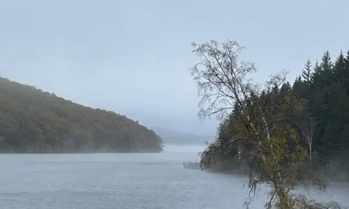 A misty lake scene with a tree on the right and forested hills in the background.