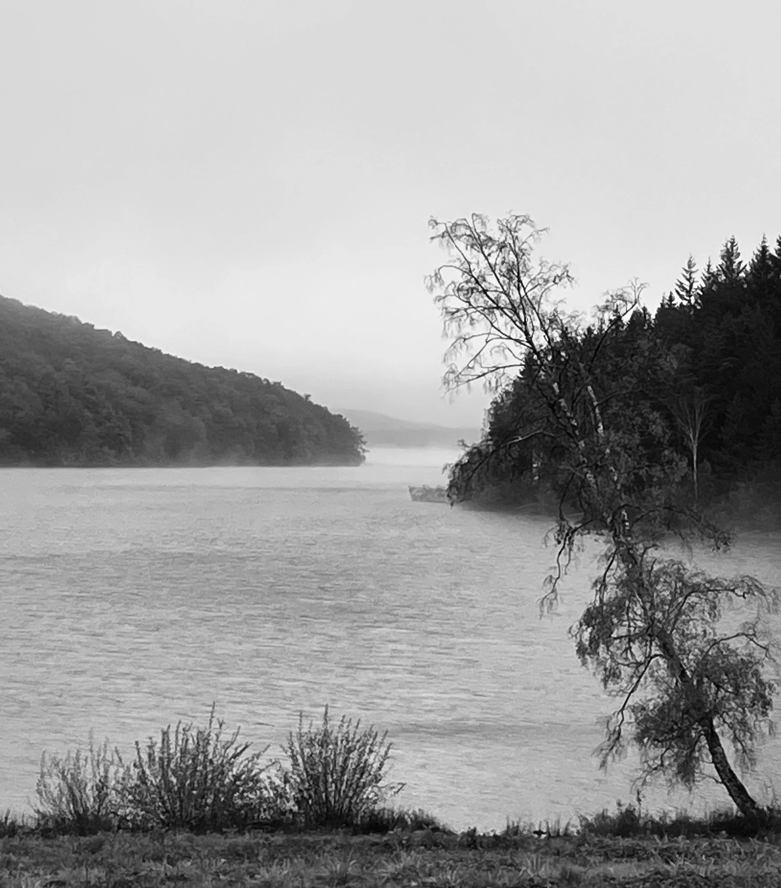 A black-and-white photo of a river with trees on both sides, mist over the water, and a cloudy sky.