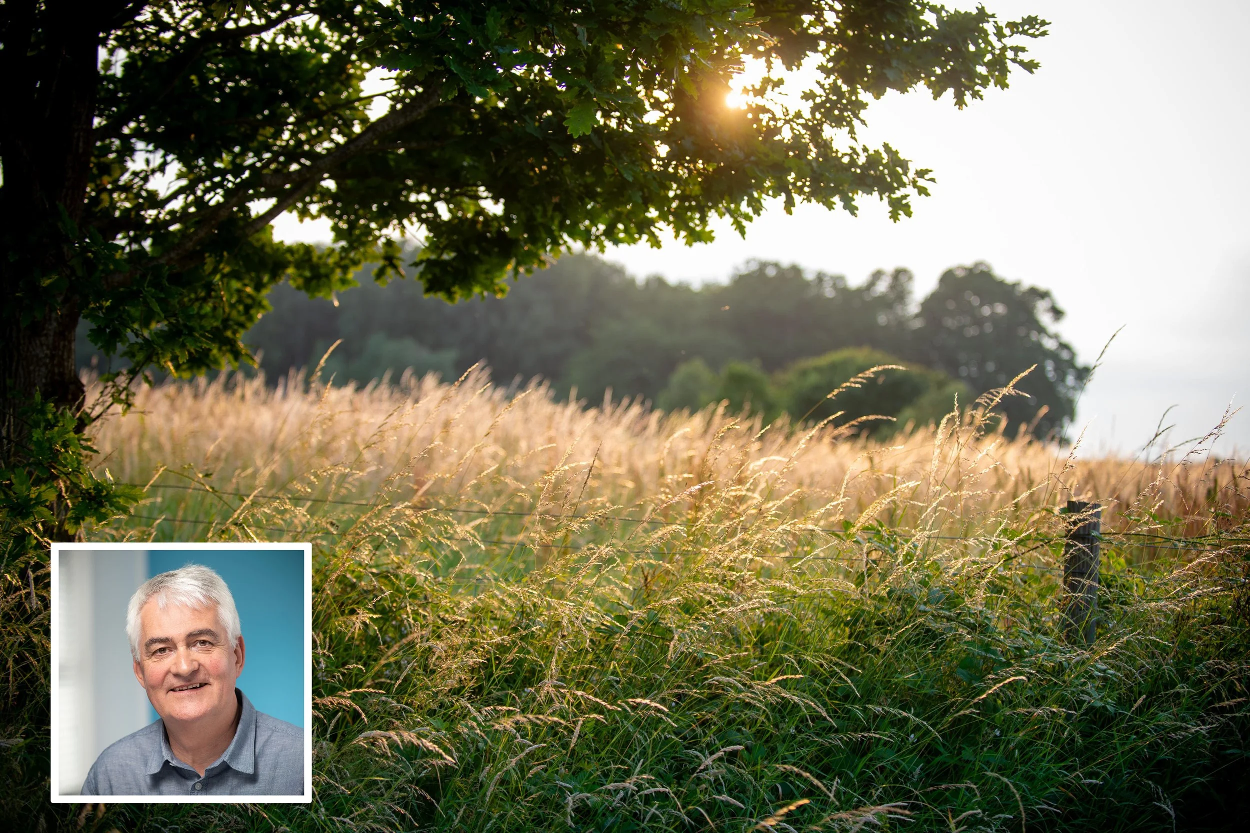 Philip Bowern Column: Who cares about the countryside?&nbsp; 