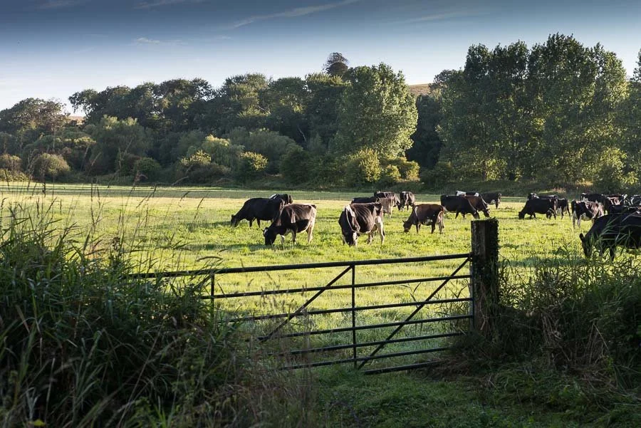 Maintaining public support as farmers diversify