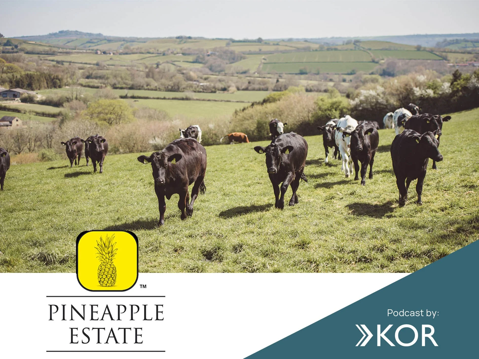 Tell your story in your own words, with a KOR Communications podcast