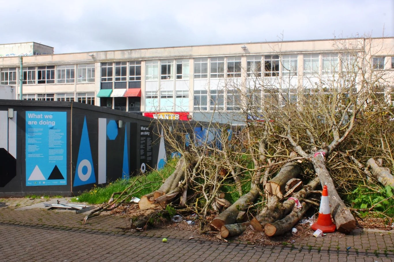 The root of Plymouth’s problems