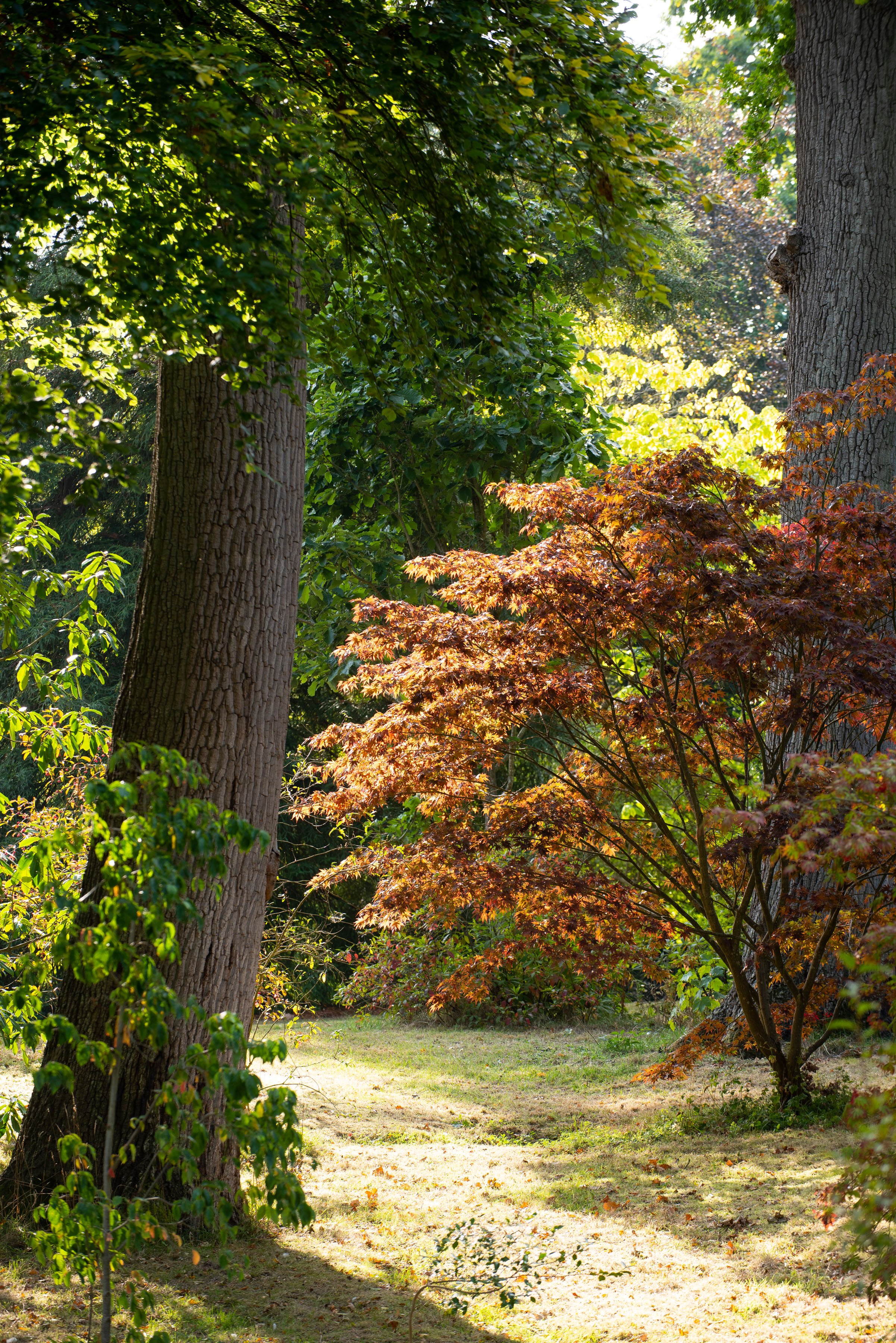 _DSC9566.jpg