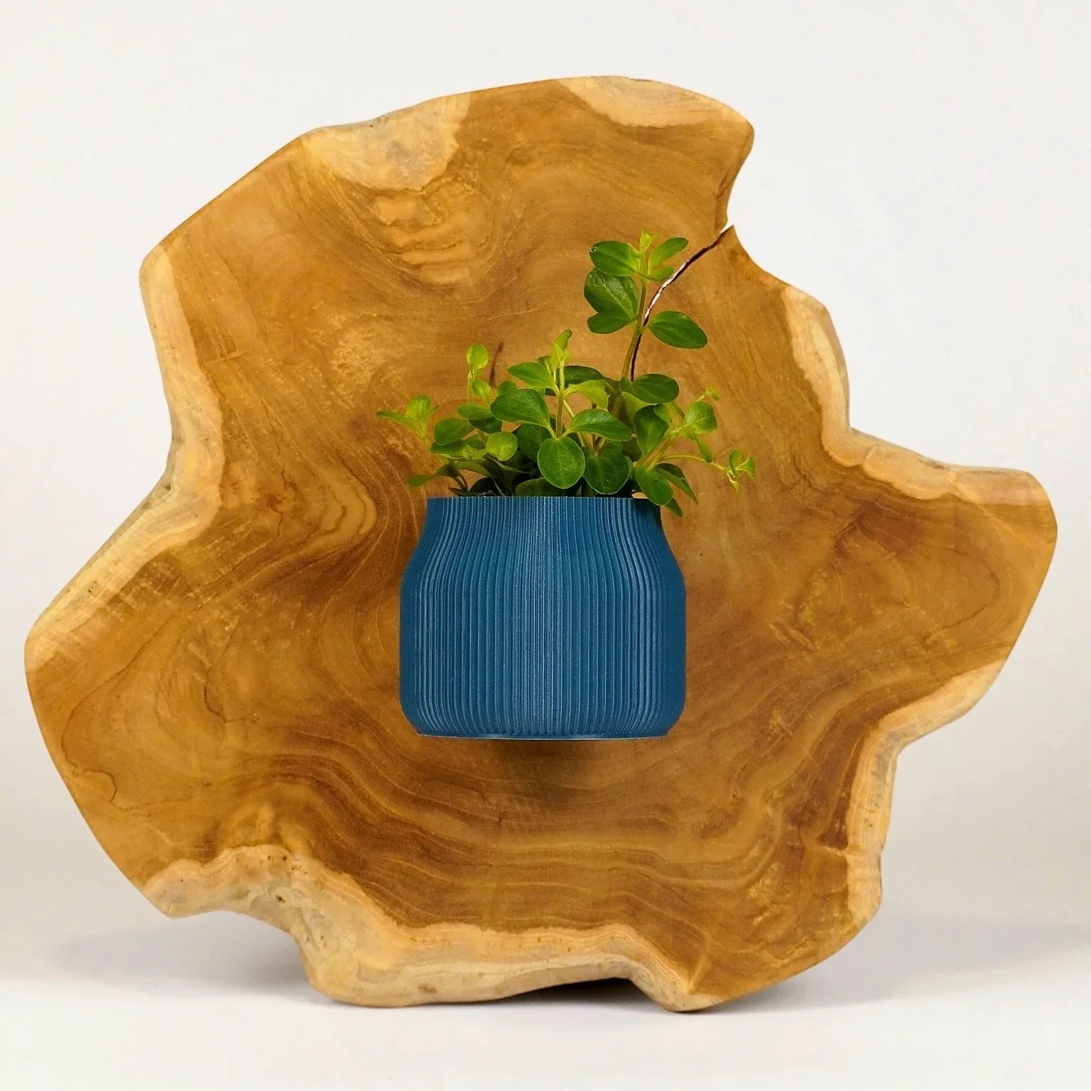 Gaia mini