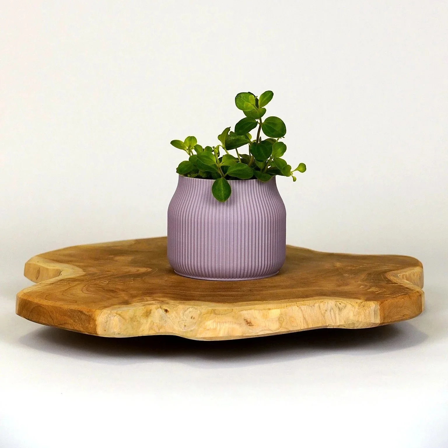 Gaia mini