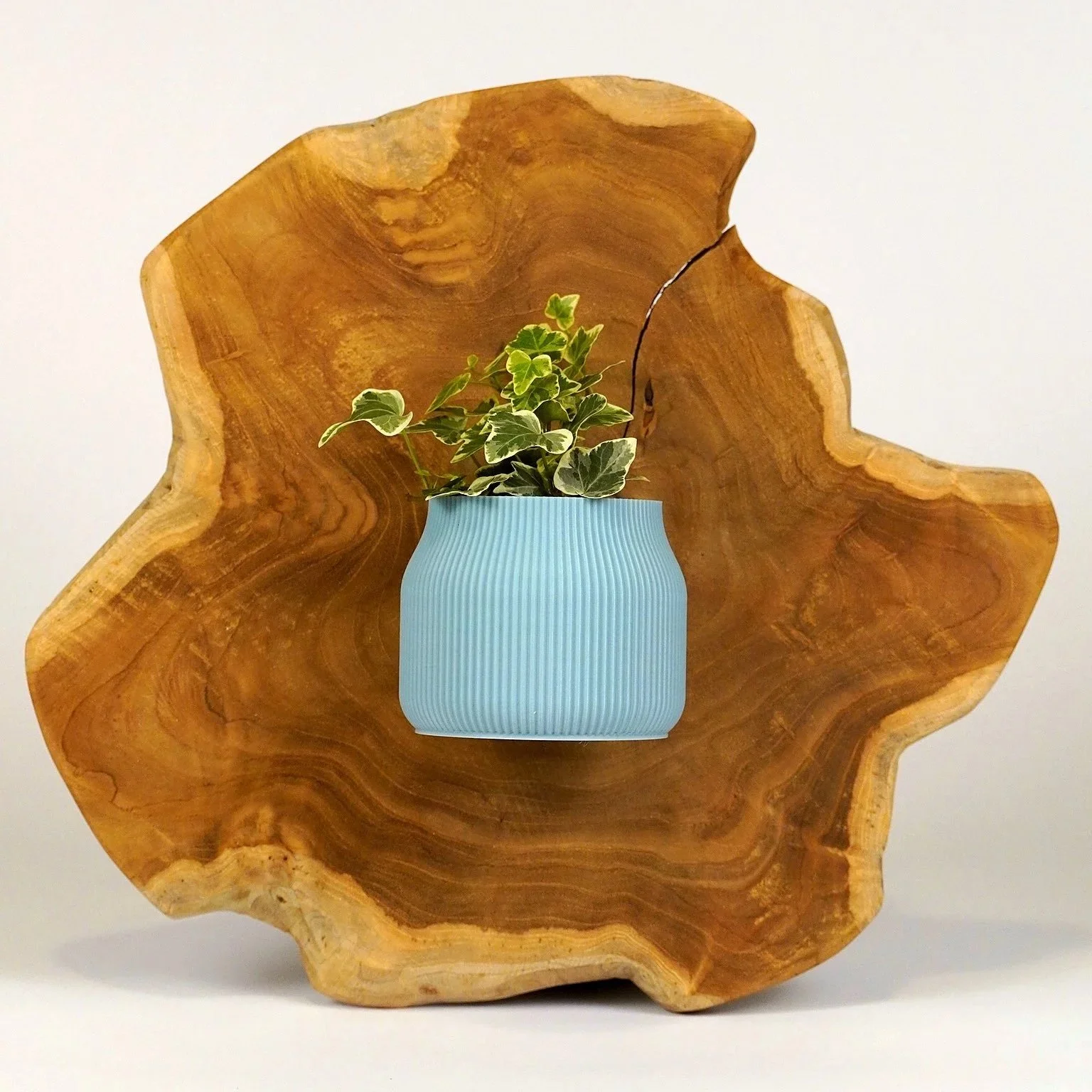 Gaia mini