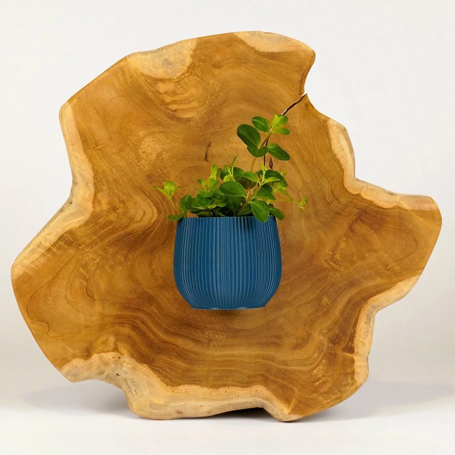 Hera mini