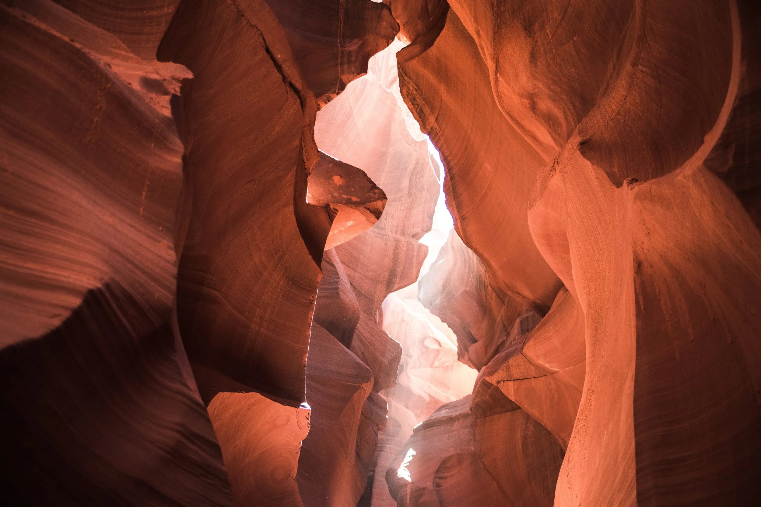 Narrow slot canyon with smooth, flowing sandstone walls in shades of red and orange, sunlight streaming in from above.