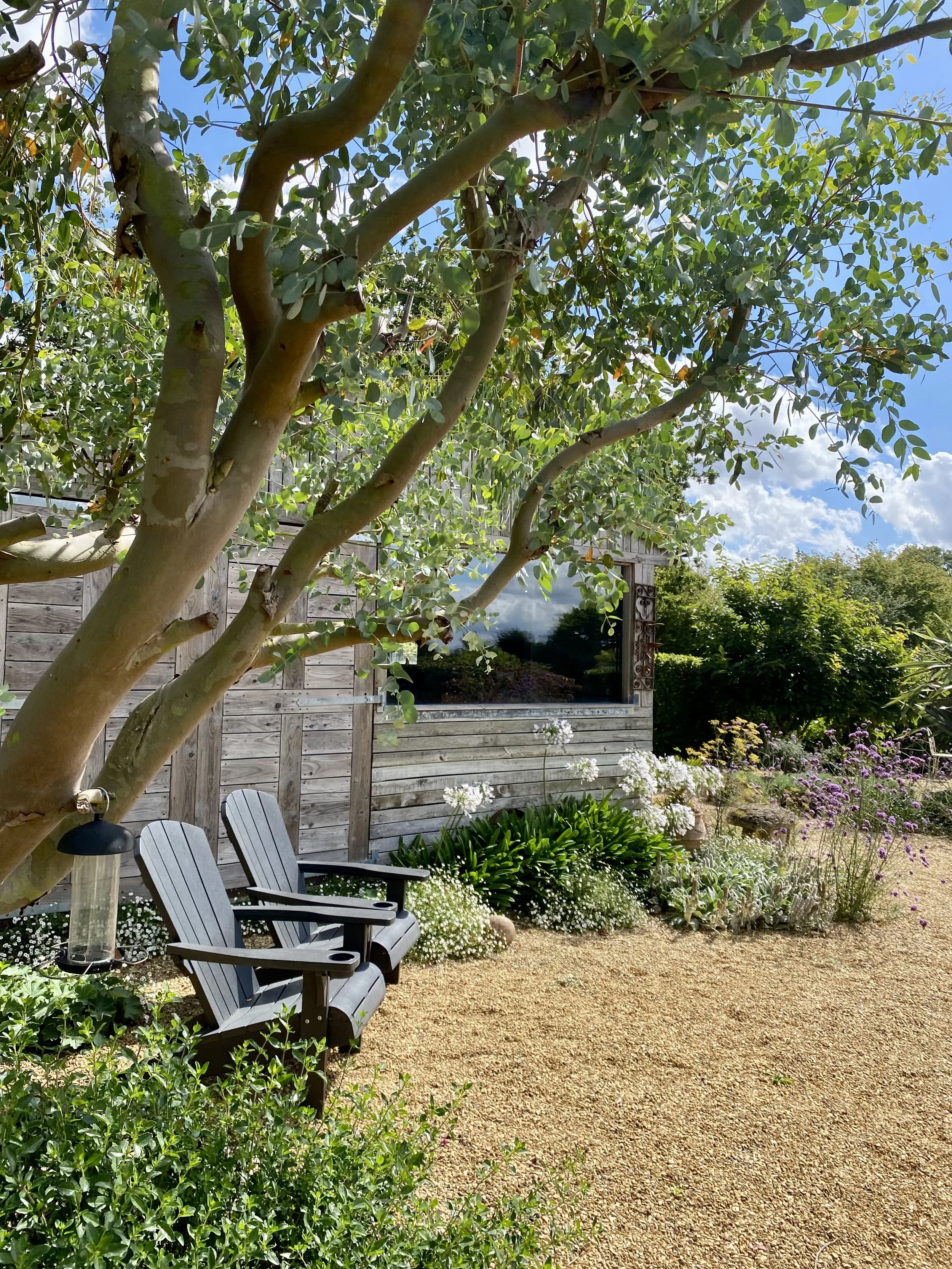 FullSizeRender (2).jpeg