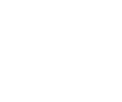 Drawing of two overlapping sprigs of leaves with simple lines.