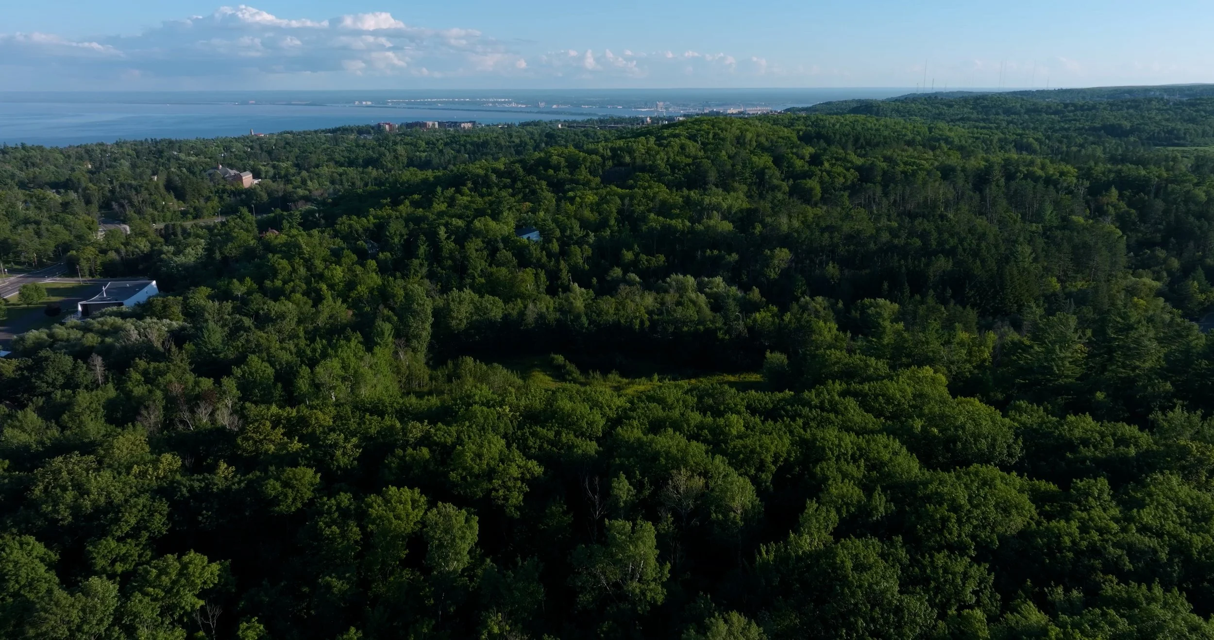 VIOR Intro Still Image.jpg