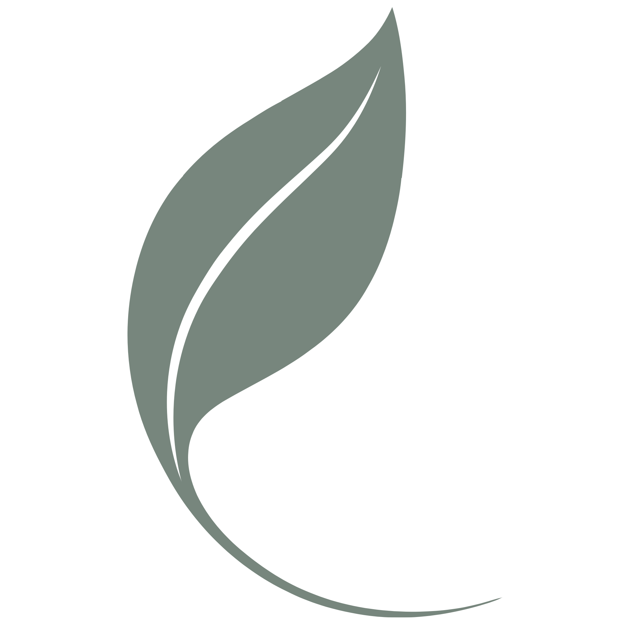 Illustration of a stylized leaf