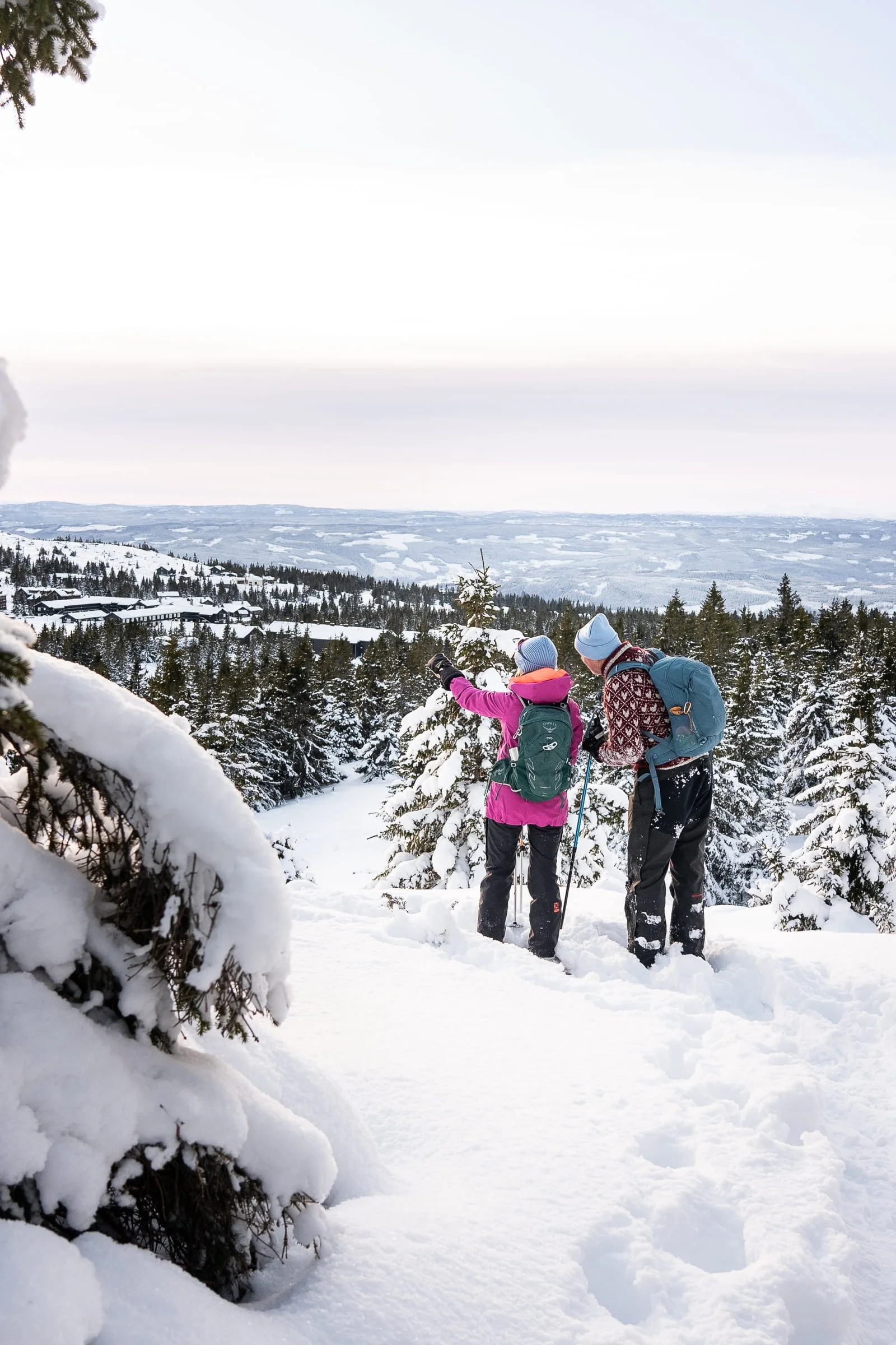 Winter nature experience with snowshoes outside the ski resort in Hafjell
