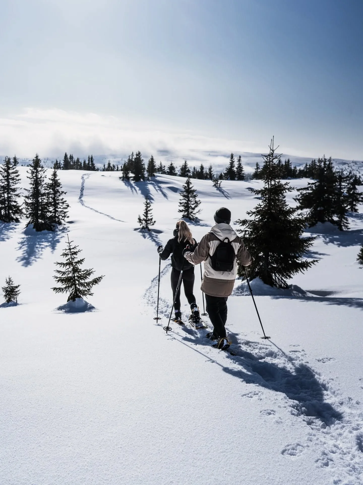 Mild weather, warm sunshine &amp; longer days &ndash; spring is here and we love it! 😎🍦🌞 Up in the mountains conditions are still great for snowshoe hiking and skiing. Let's make the most out of it! 
#visitnorway #visitlillehammer #norwaytravel #w