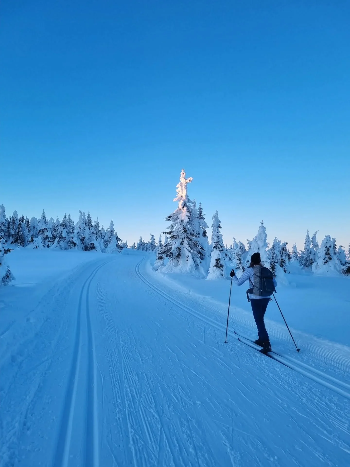 It's impossible to show you all of our favorite moments with our guests this winter but here is a small selection...

#visitlillehammer #visitnorway #travelnorway #norwaytravel #norwayinwinter