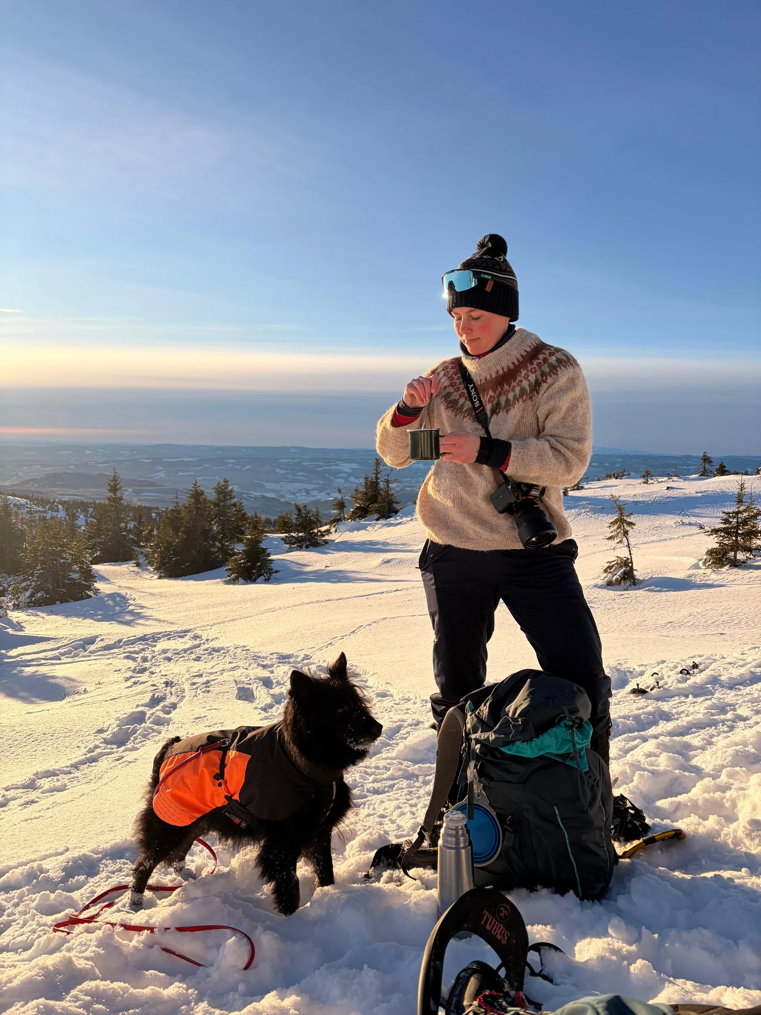 Snowshoe hikeGuided snowshoe hike in winter landscape in Lillehammer