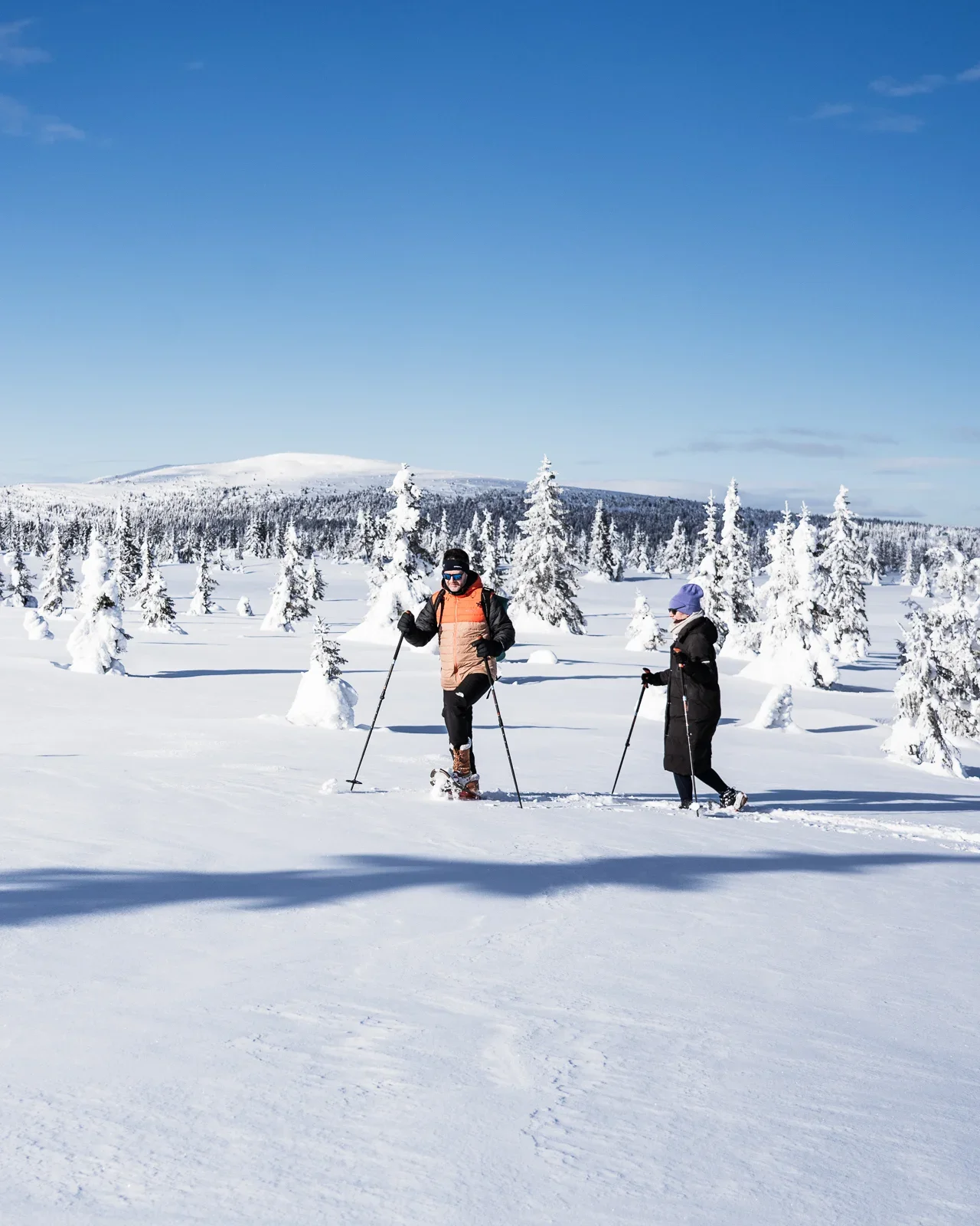 A couple on snowshoes walking through a wide winter landscape with scattered trees and a snow covered hill in the background