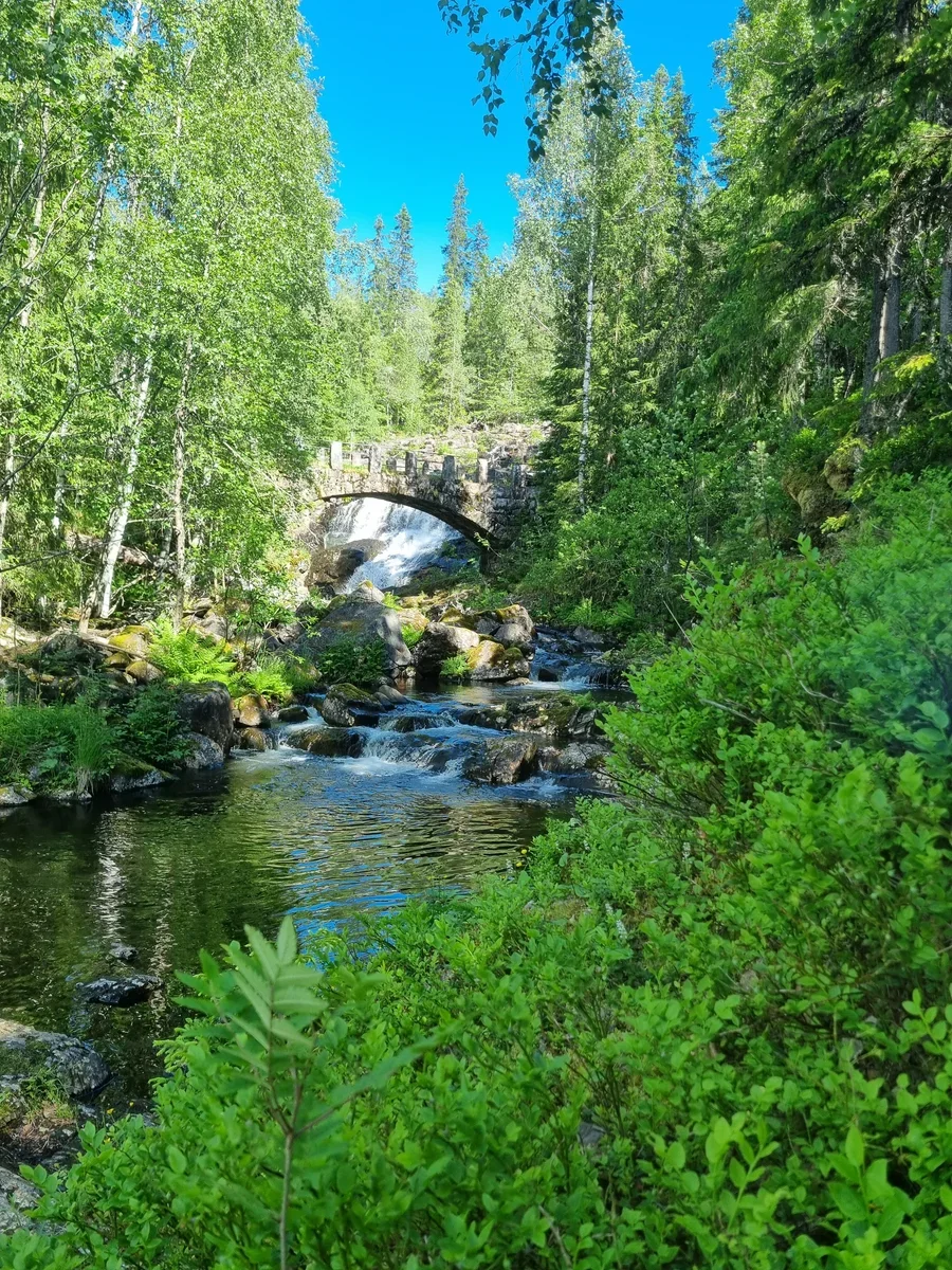 A photo of an arched stone bridge spanning over a river. In the background behind the bridge you can see a waterfall and forest, in the foreground green bushes.