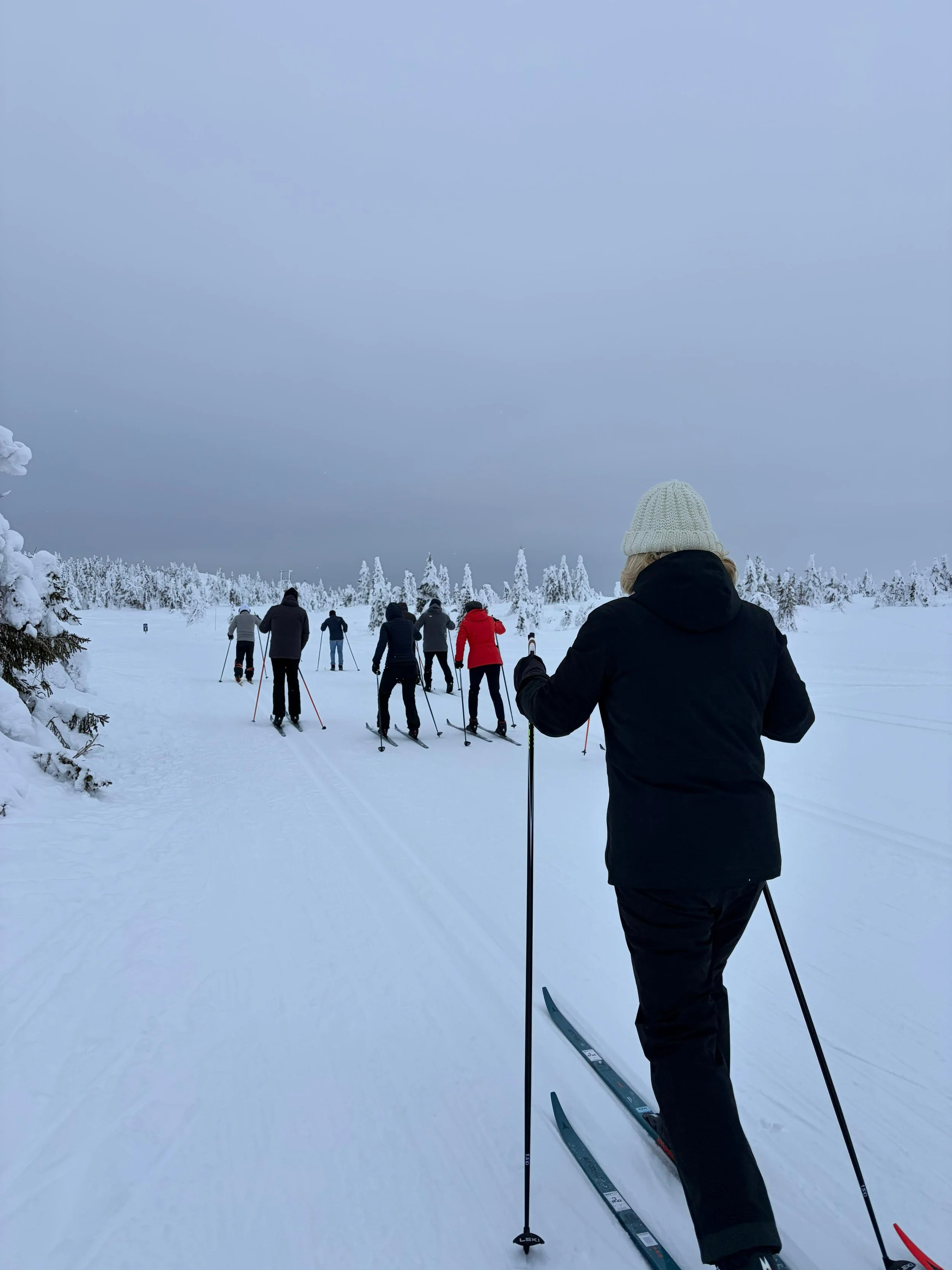 a big group of cross-country skiers skiing away from the camera